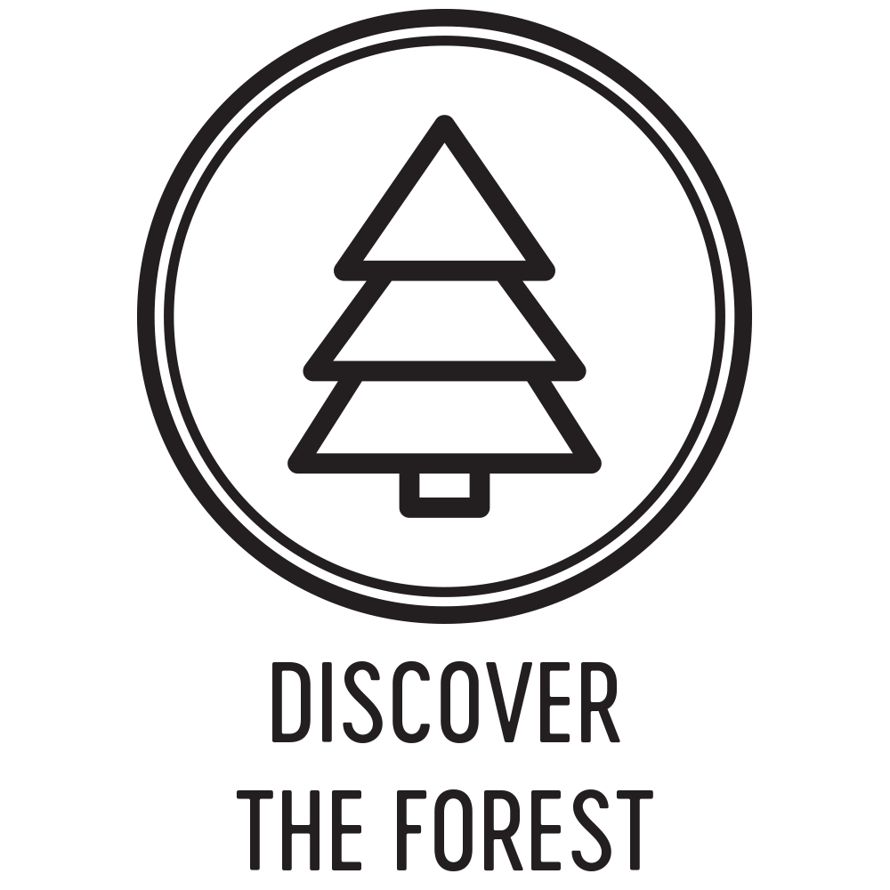 Collaboratory_Forest.png