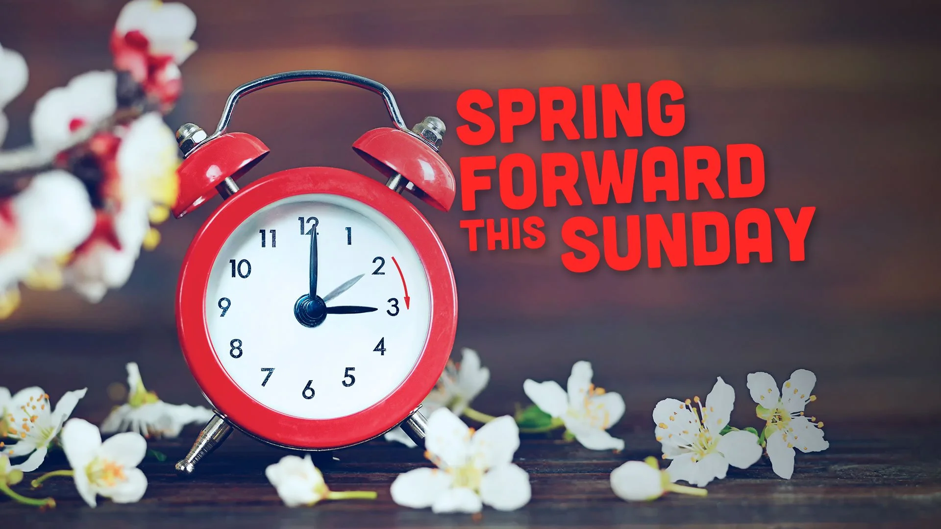 Daylight Savings Time Spring Forward