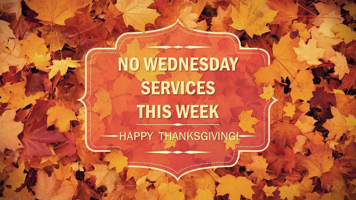 No Wednesday Night Activities: Happy Thanksgiving!