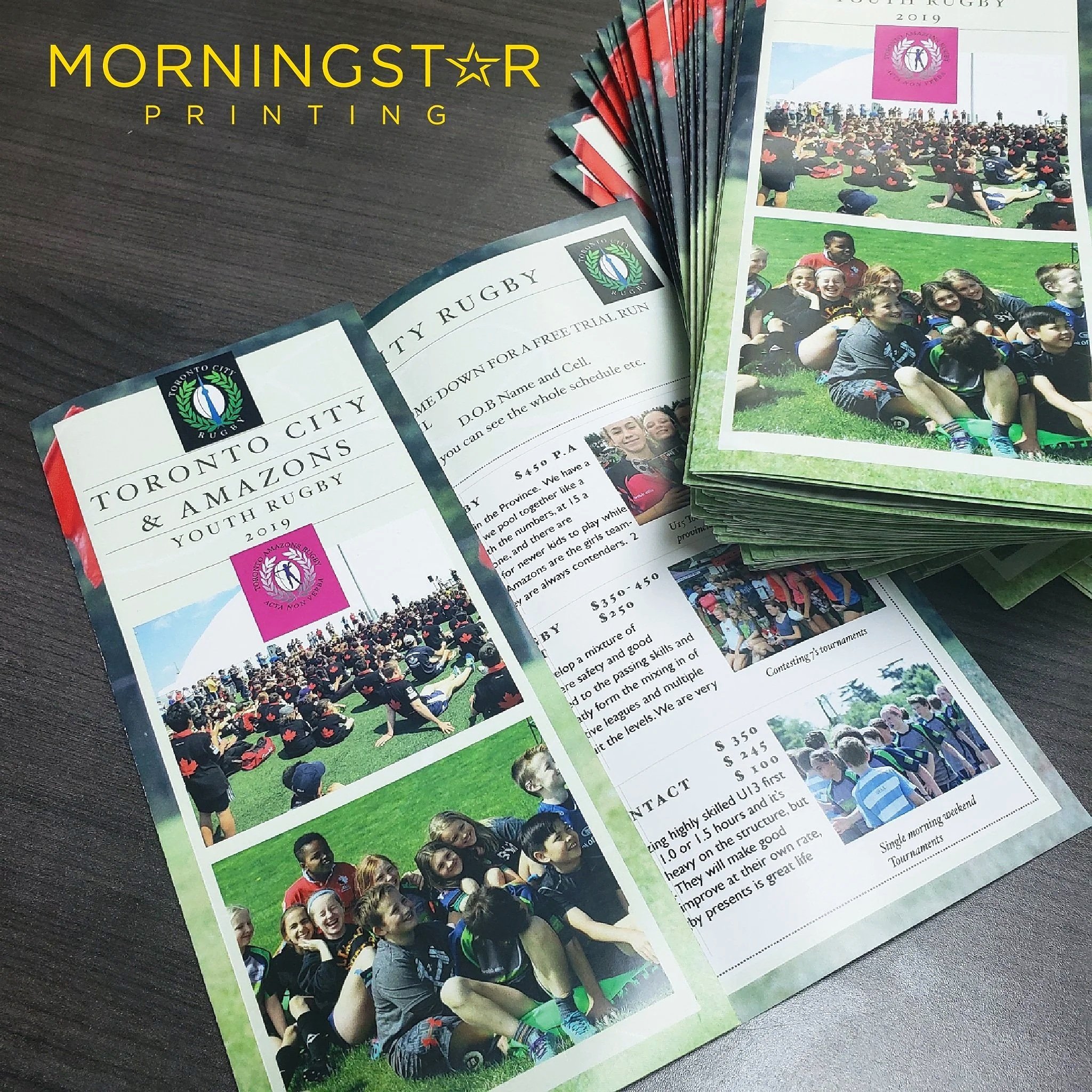 Brochures and Flyers