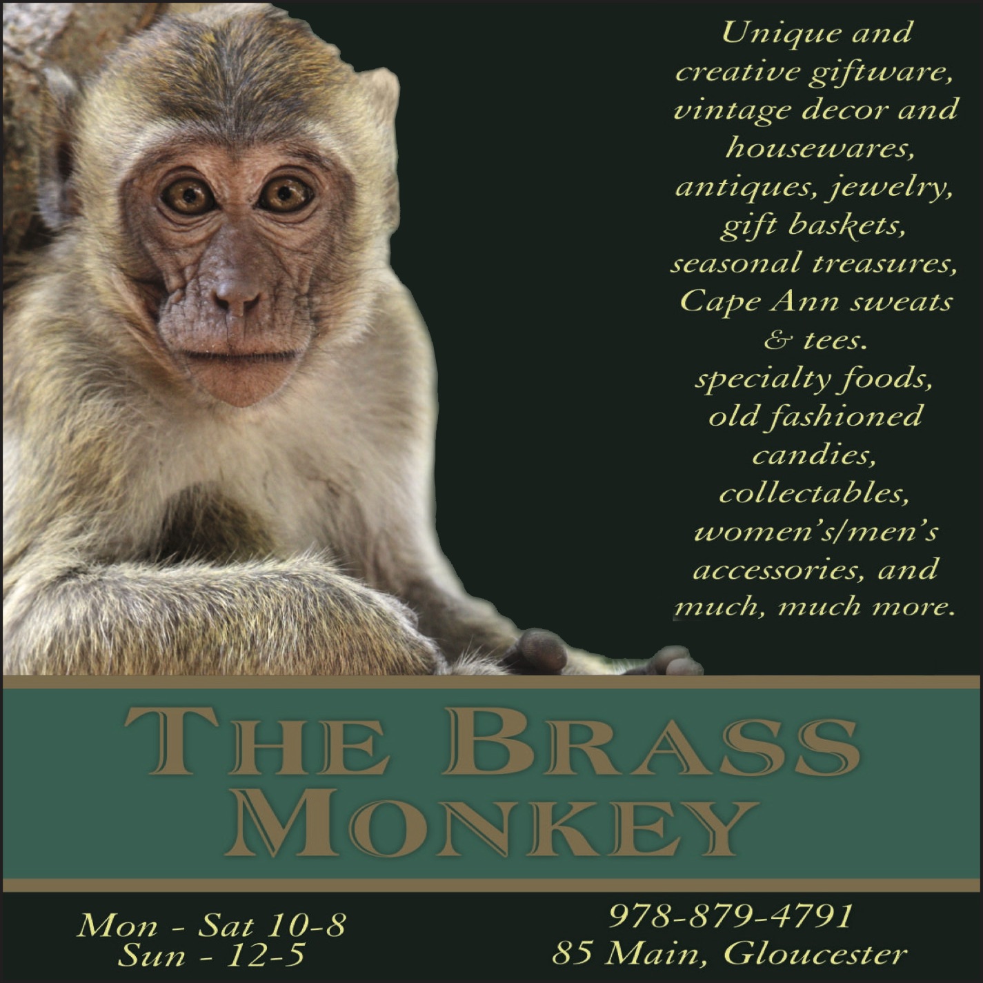 The Brass Monkey_MAGAZINE AD copy.jpg