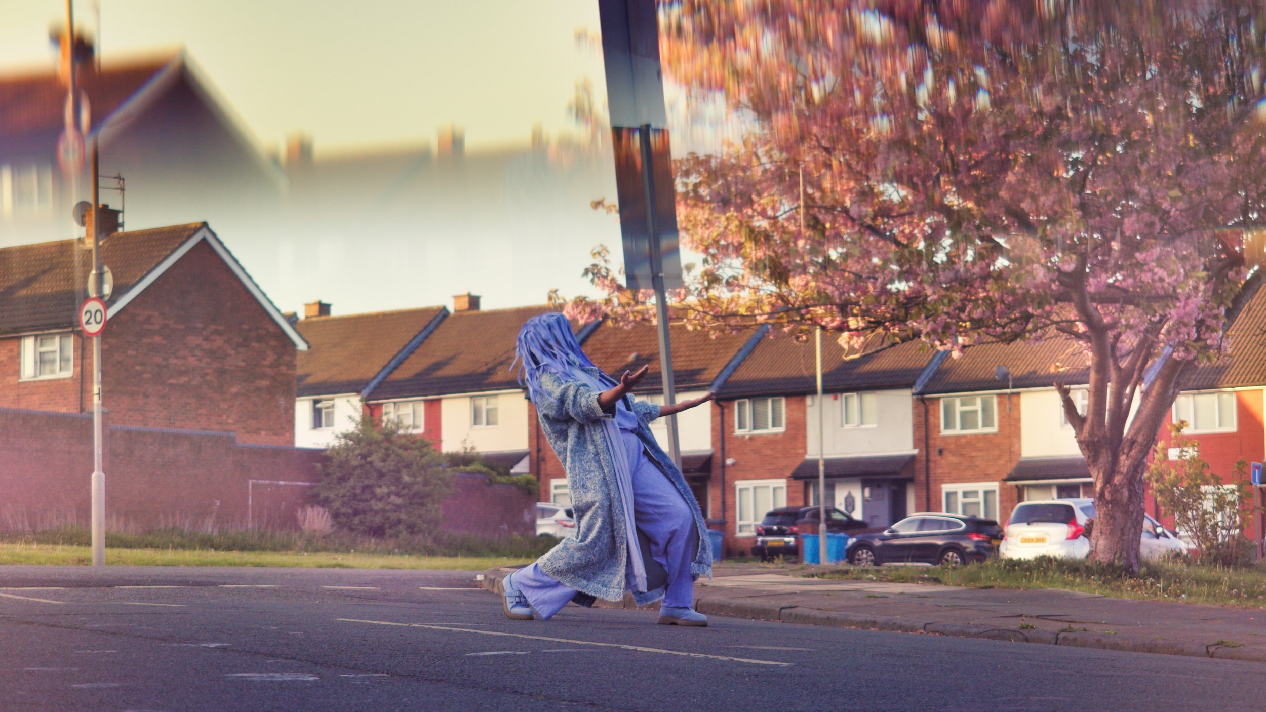 StillTheWind_Blossom_2.jpg