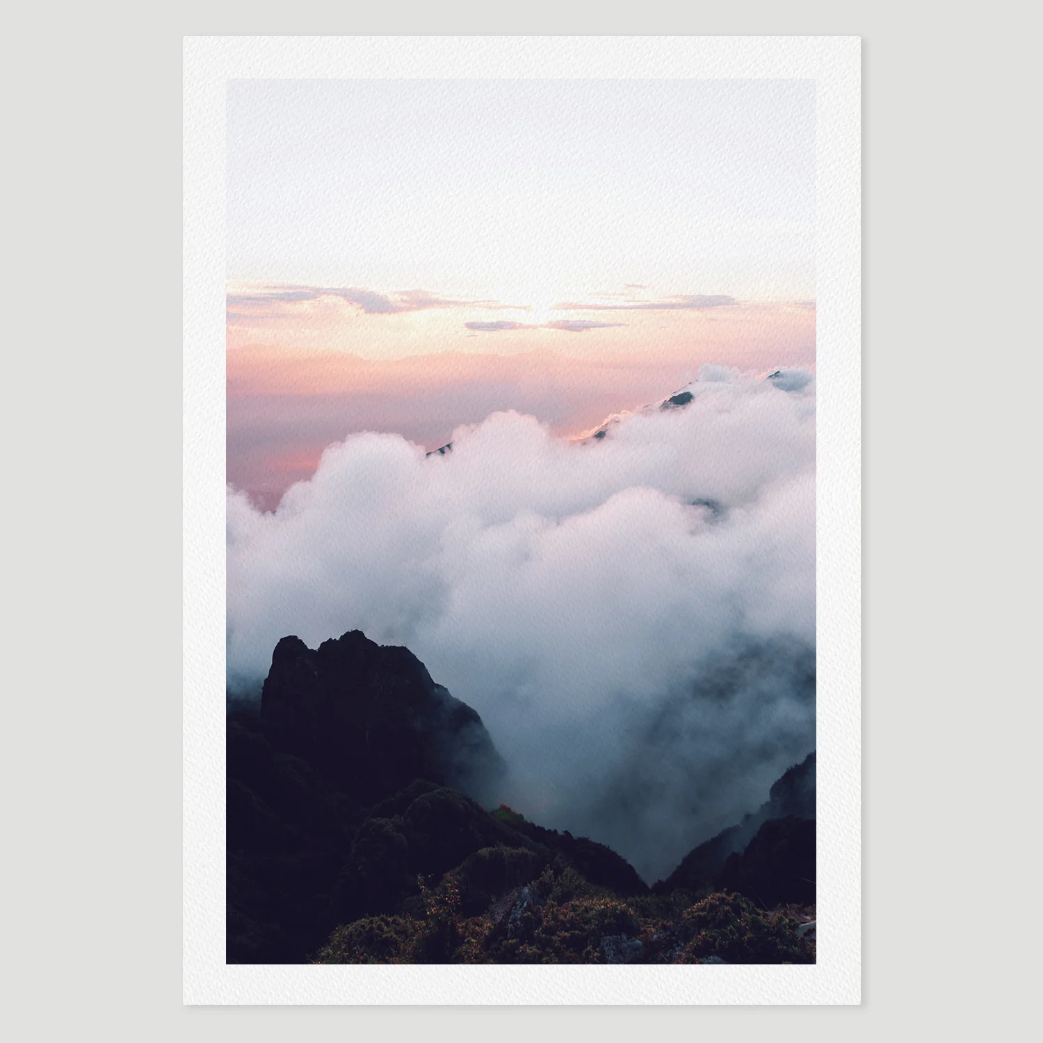 prints_pinkwonder.jpg