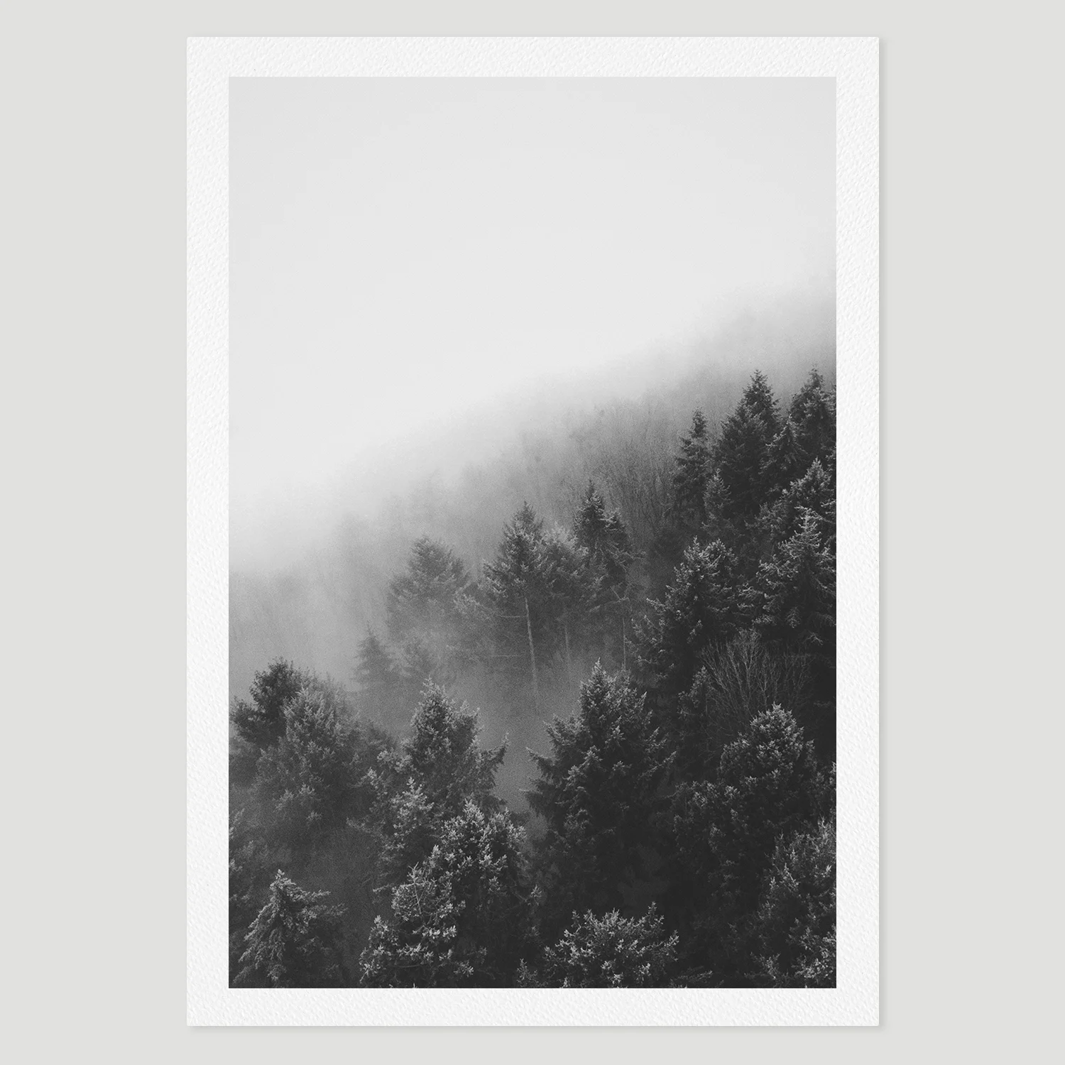 prints_forest2.jpg