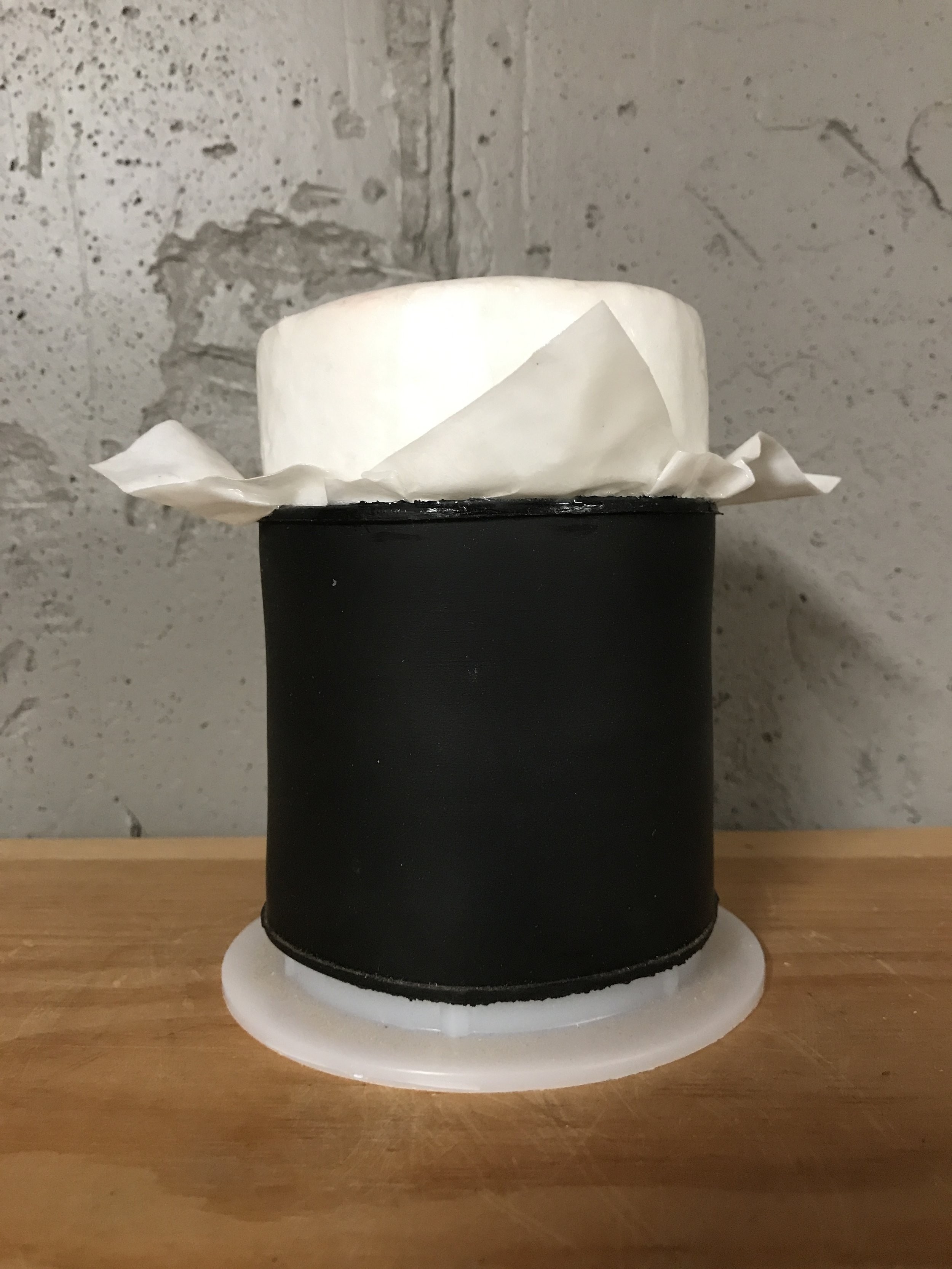 Foam Plug