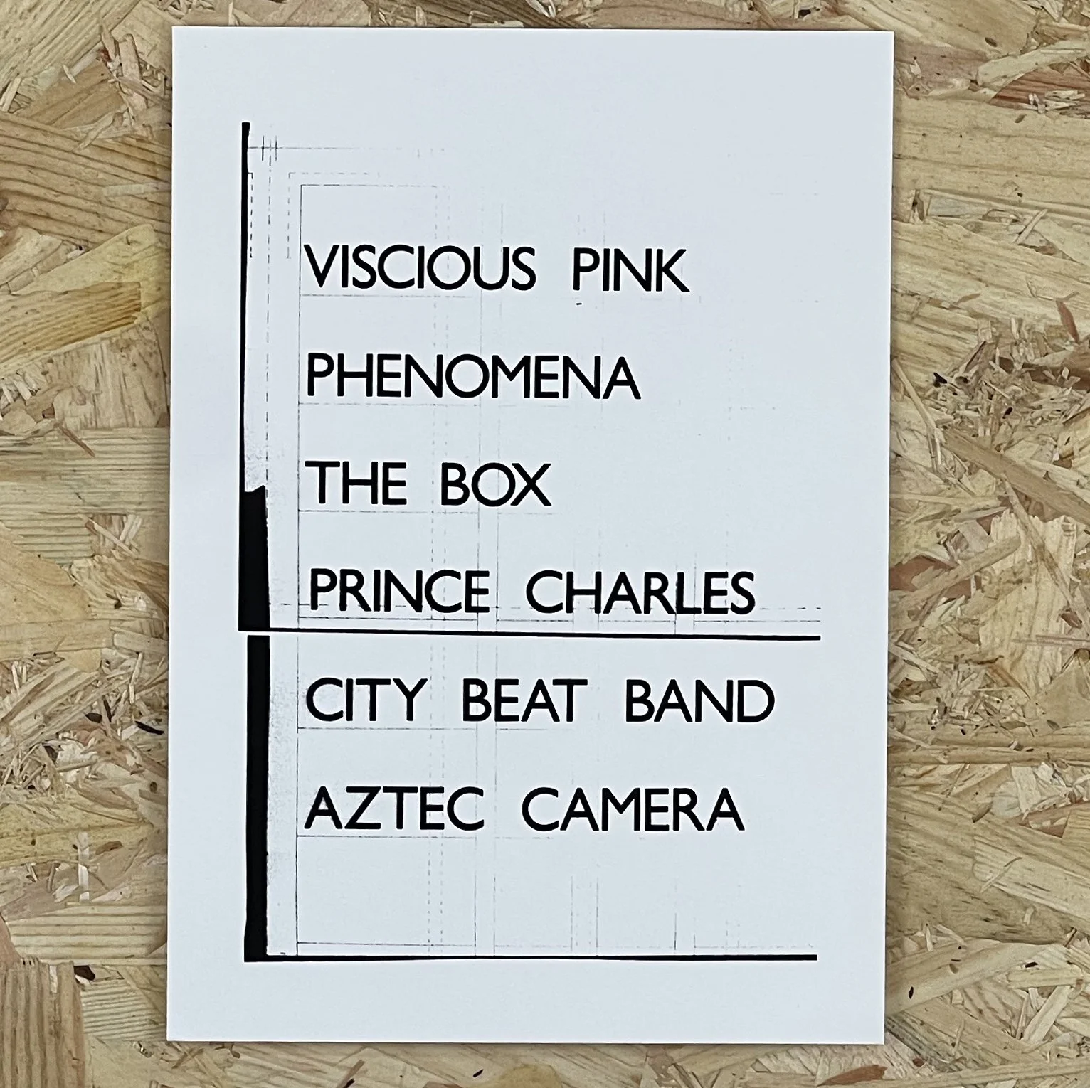 viscious pink copy.jpg