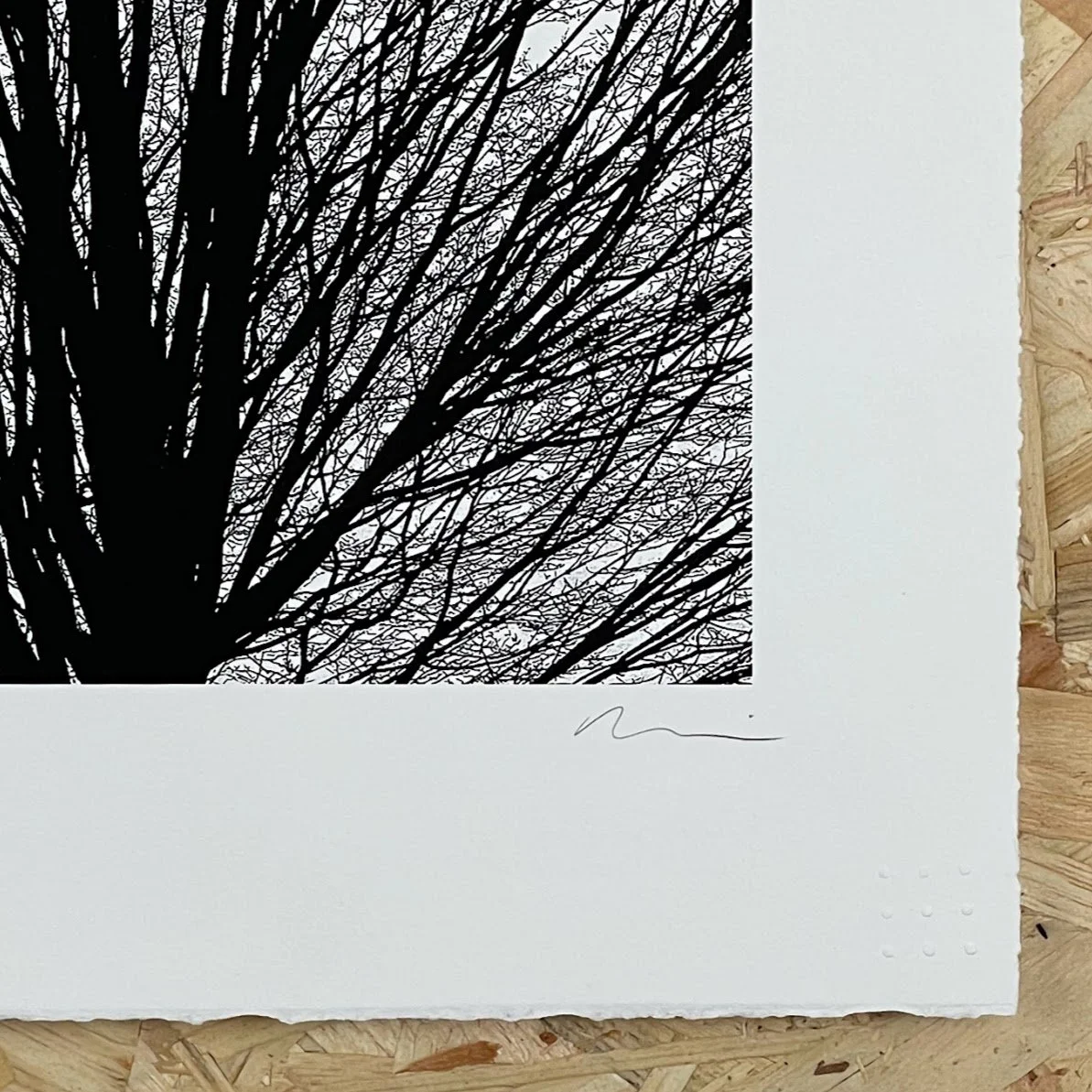 upright hornbeam crop .jpg