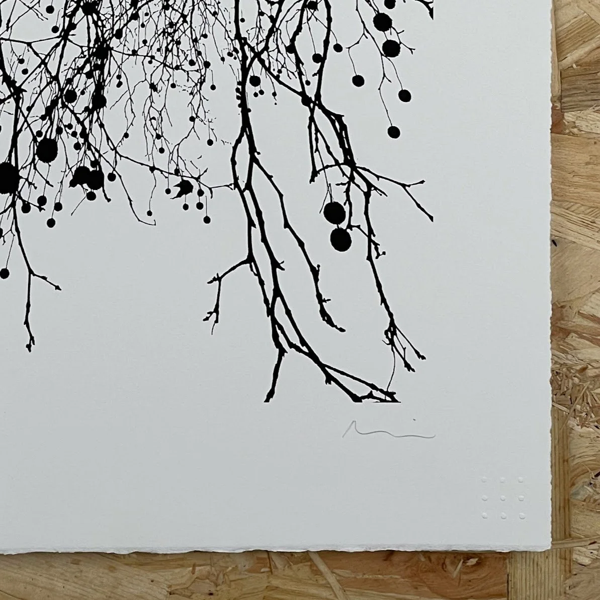 london nplane crop.jpg