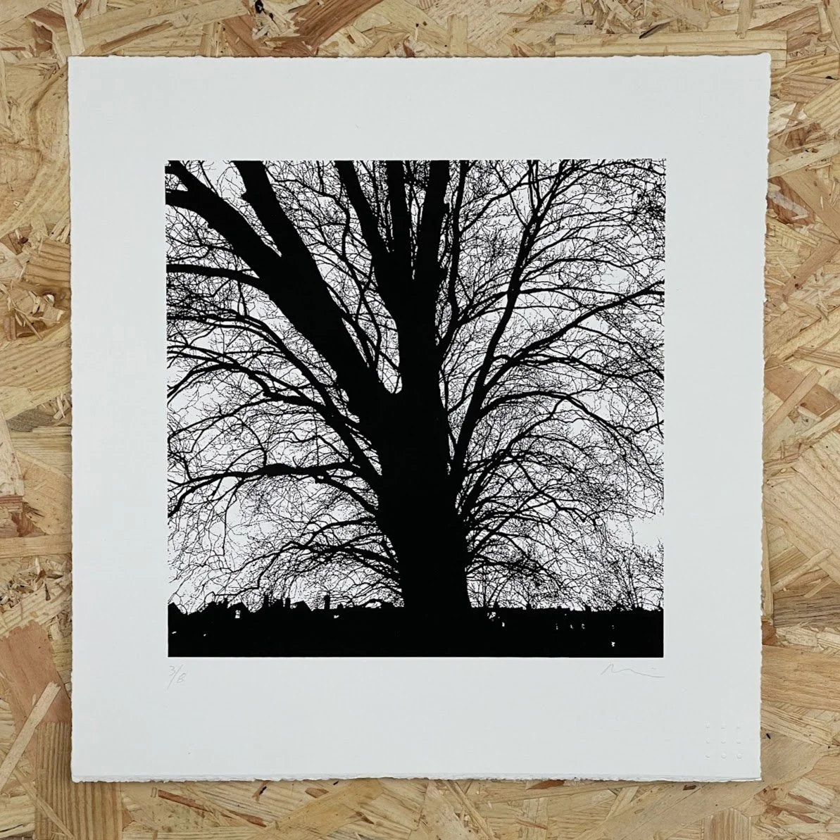 hornsey london plane.jpg