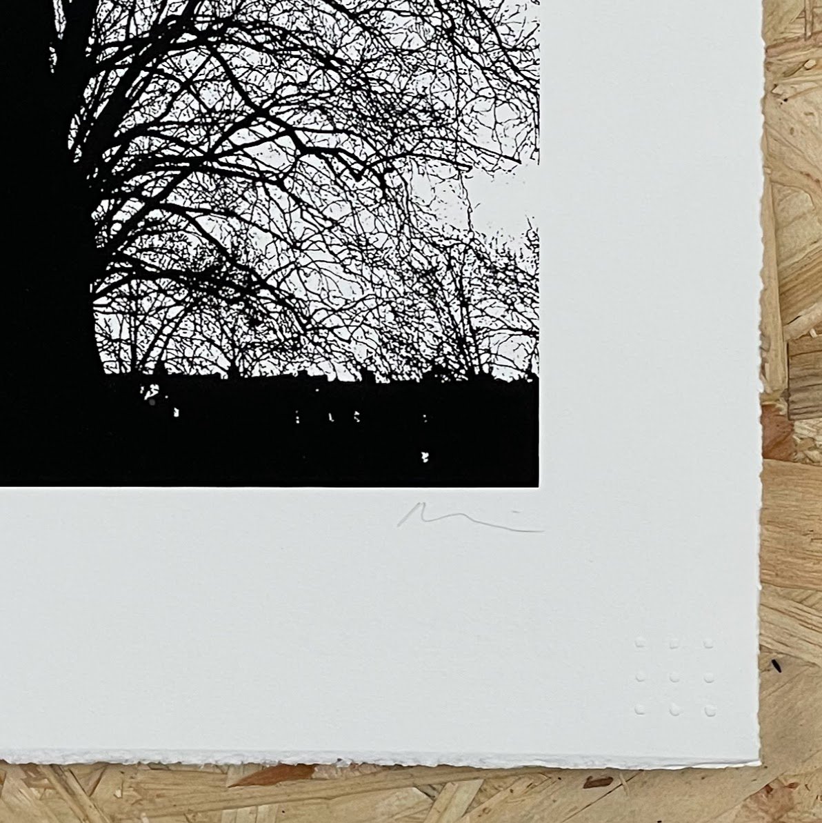 hornsey london plane crop.jpg