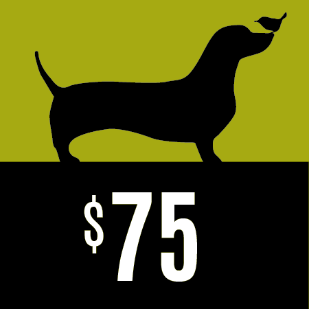 $75 Partners Village Store Gift Card