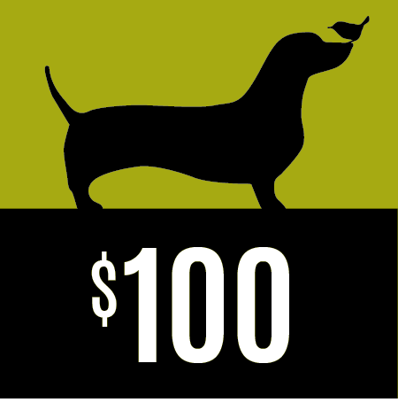 $100 Partners Village Store Gift Card