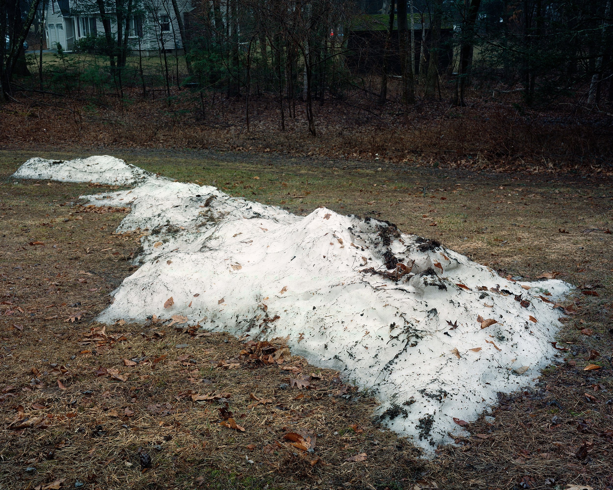25-04-YardSnow2.jpg