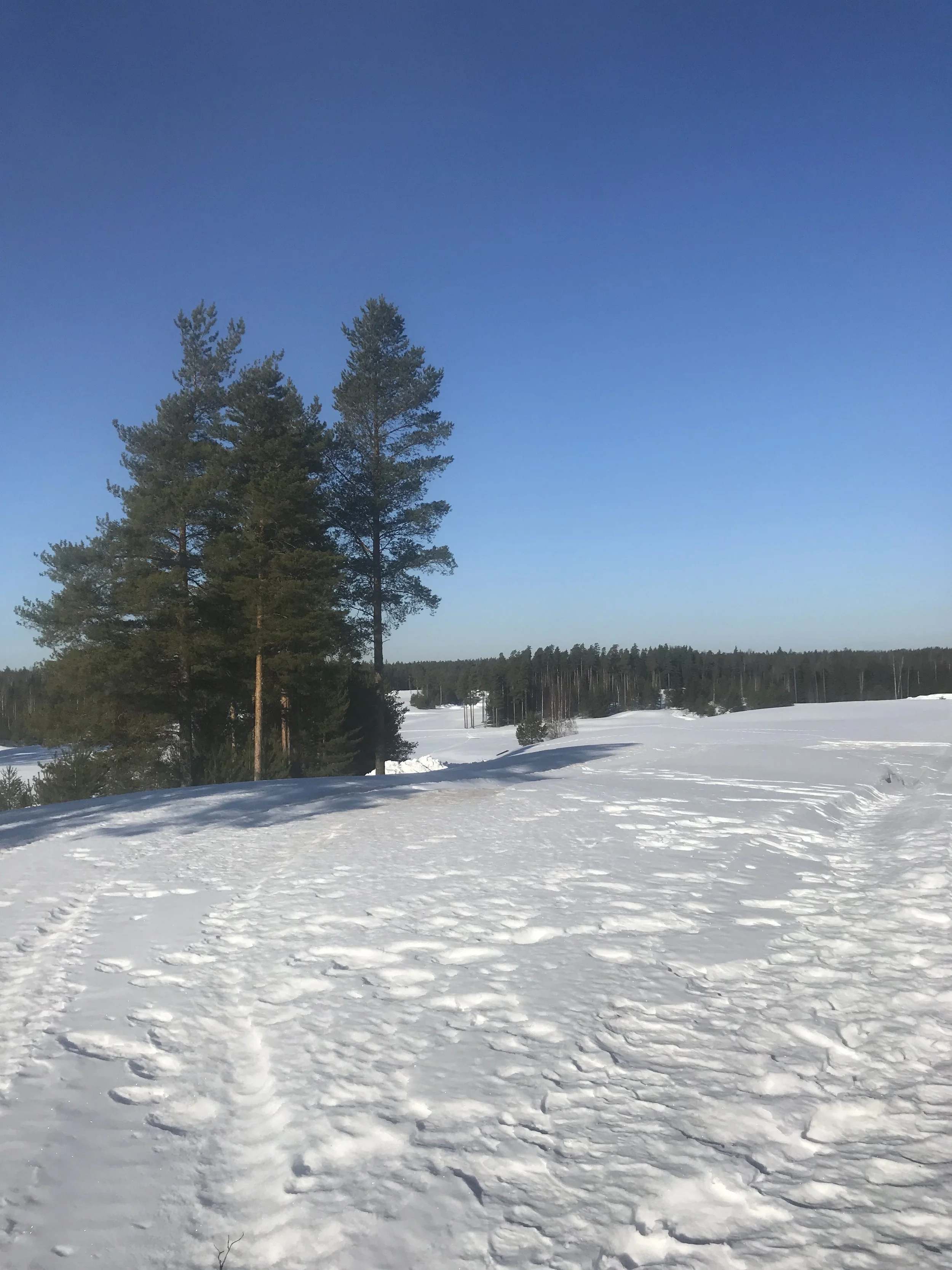 OLEMME VAHVASTI TALVEN OTTEESSA - PORVOO GOLF 23.4.2022 PARISCRAMBLE KISA SIIRTYY 28.5.2022
