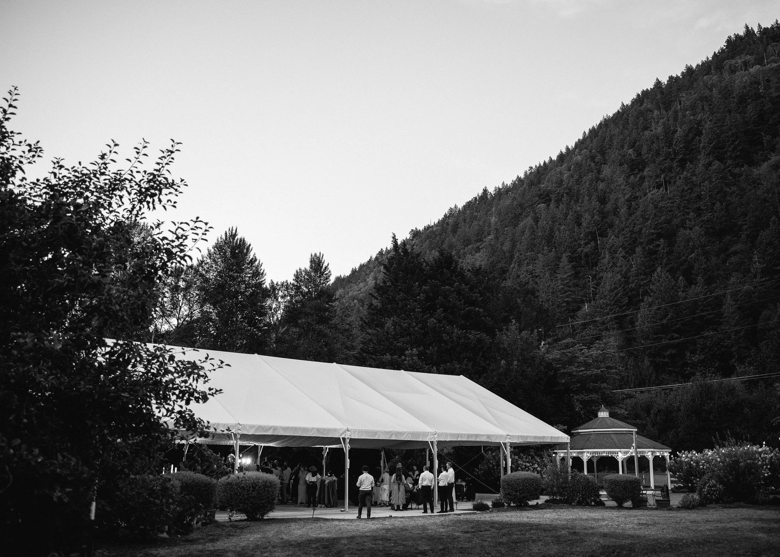 fox-hollow-wedding-photography-seattle-sarah-kusz_097.JPG