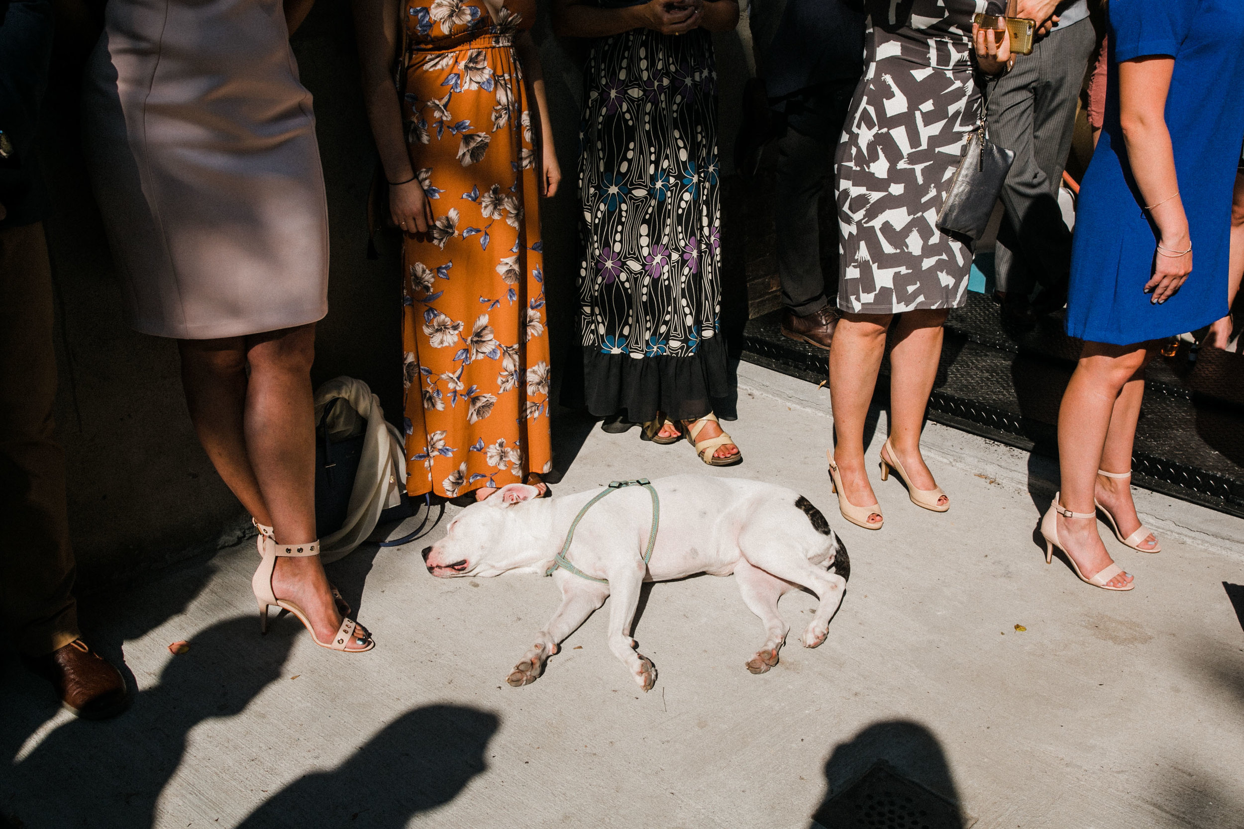  Sarah Kuszelewicz Photography New York City Brooklyn International Elopement Lifestyle Wedding Photographer  