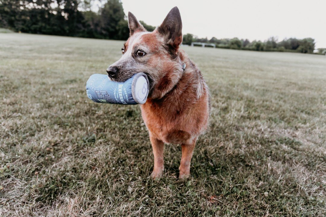 🎉🐶 GIVEAWAY FOR #NATIONALDOGDAY! 

WE&rsquo;RE GIVING AWAY A $15 ROHRBACH GIFT CARD AND A BEER CAN DOG TOY IN CELEBRATION OF NATIONAL DOG DAY! 

HOW TO ENTER: 

1. Take a photo of or with your favorite furry four-legged friend (we love cats, but we