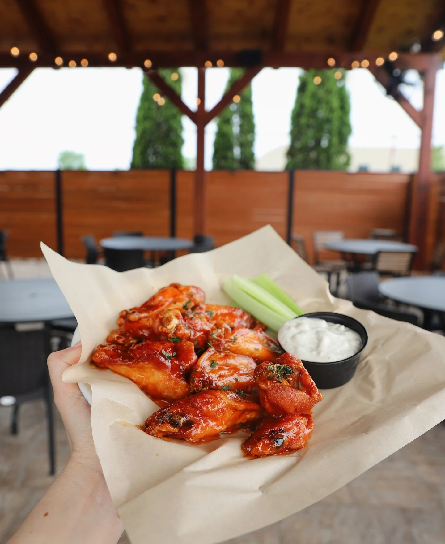 Coming to you live from the Buffalo Rd. Brewpub 🤳 Get your wings paired with a pint for just $18 every Wednesday starting at 4pm.⁠
⁠
#wingwednesday #rohrbachfood