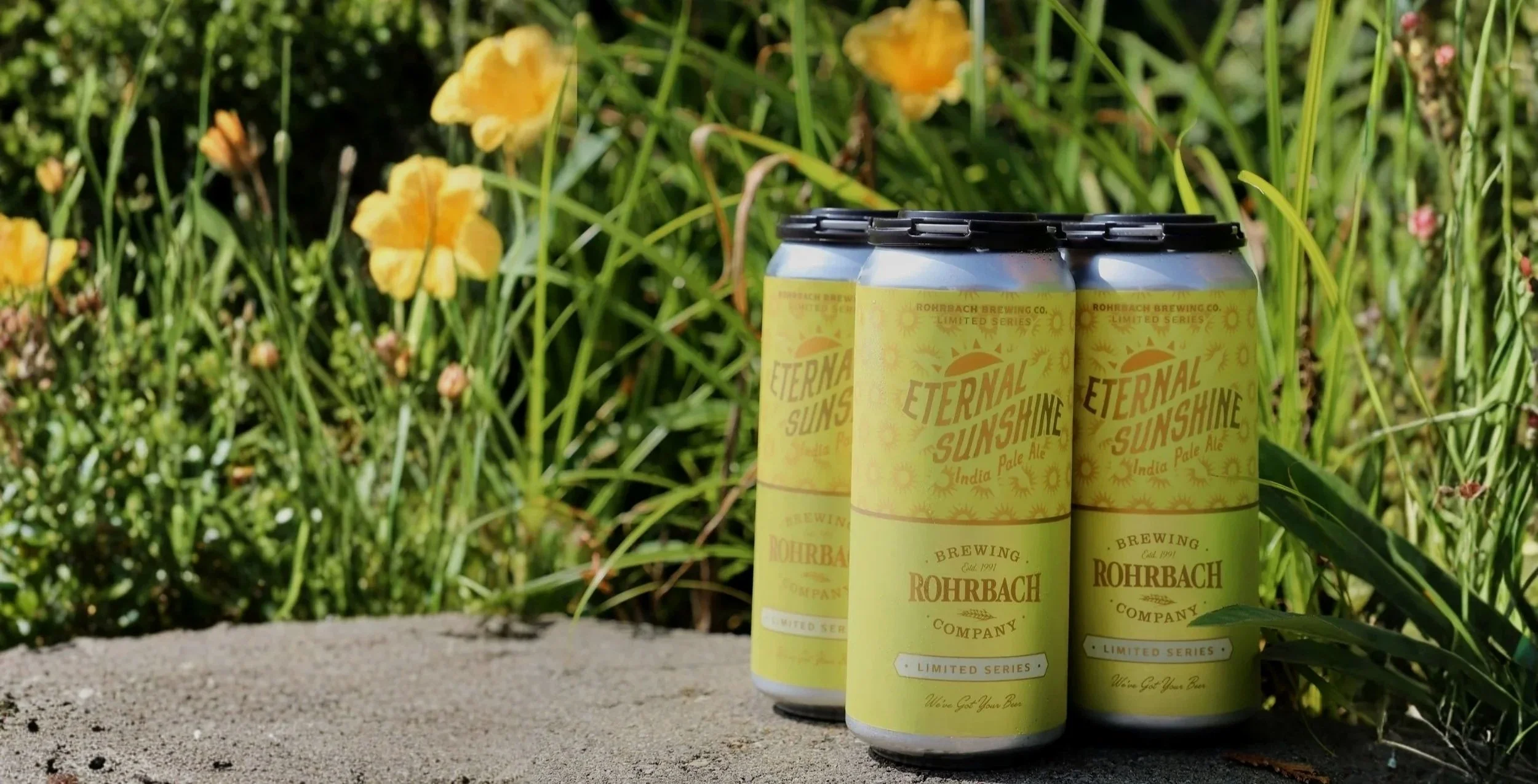 Four-pack of Rohrbach Eternal Sunshine IPA cans surrounded by yellow flowers and greenery.