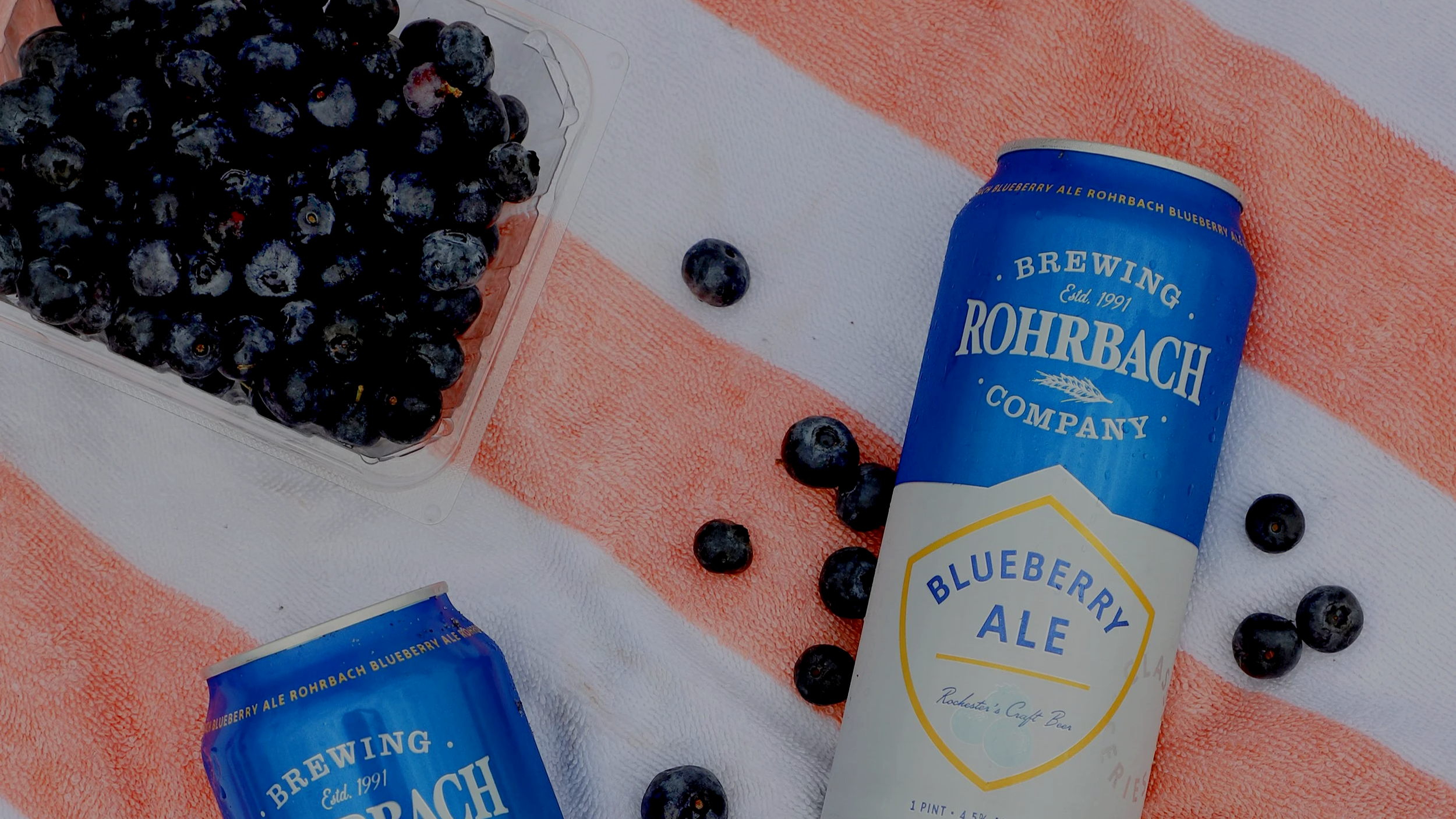 Blueberry Ale cans on a striped beach towel with fresh blueberries.