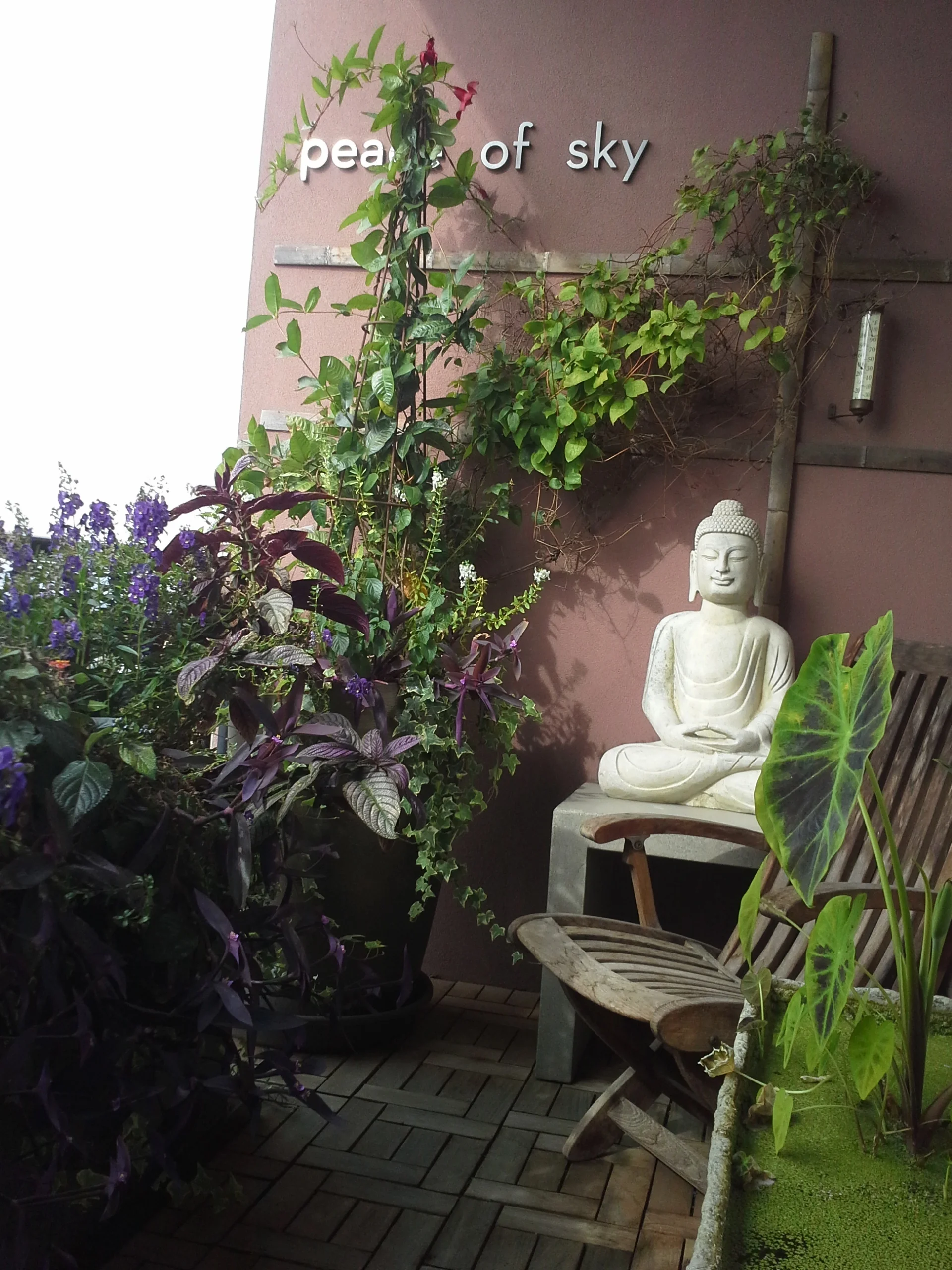 20140924_101028.jpg