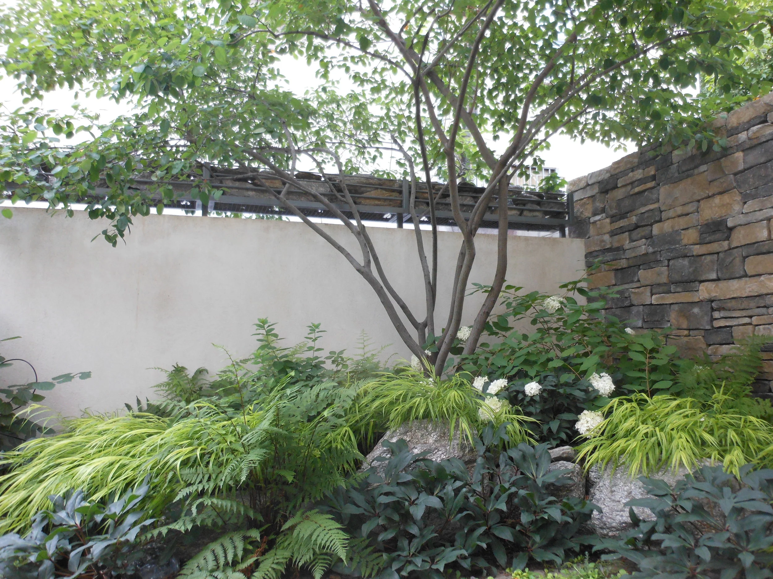 July 21 2012 067.JPG