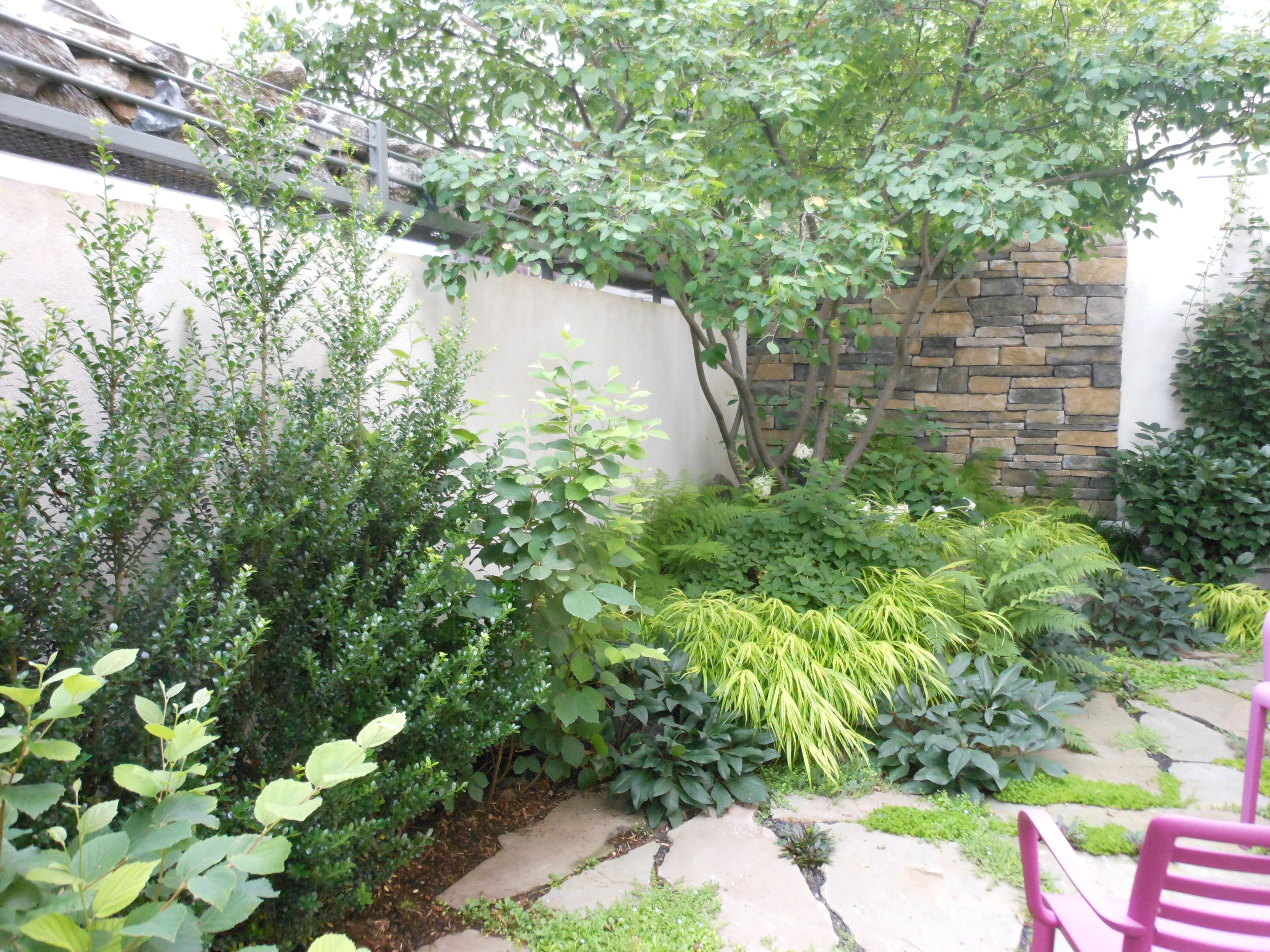 July 21 2012 075.JPG