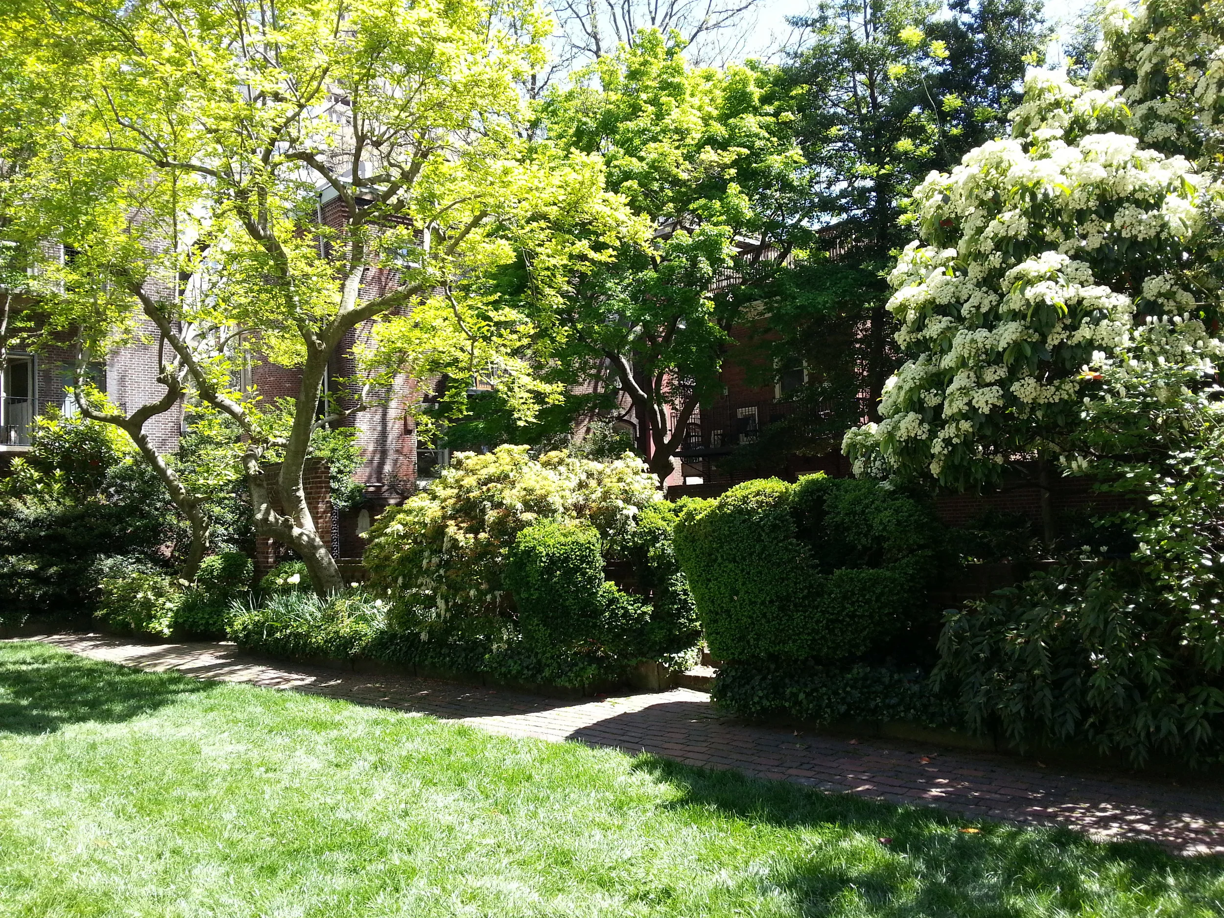 original1.Curtis 5.3.13 431.jpg