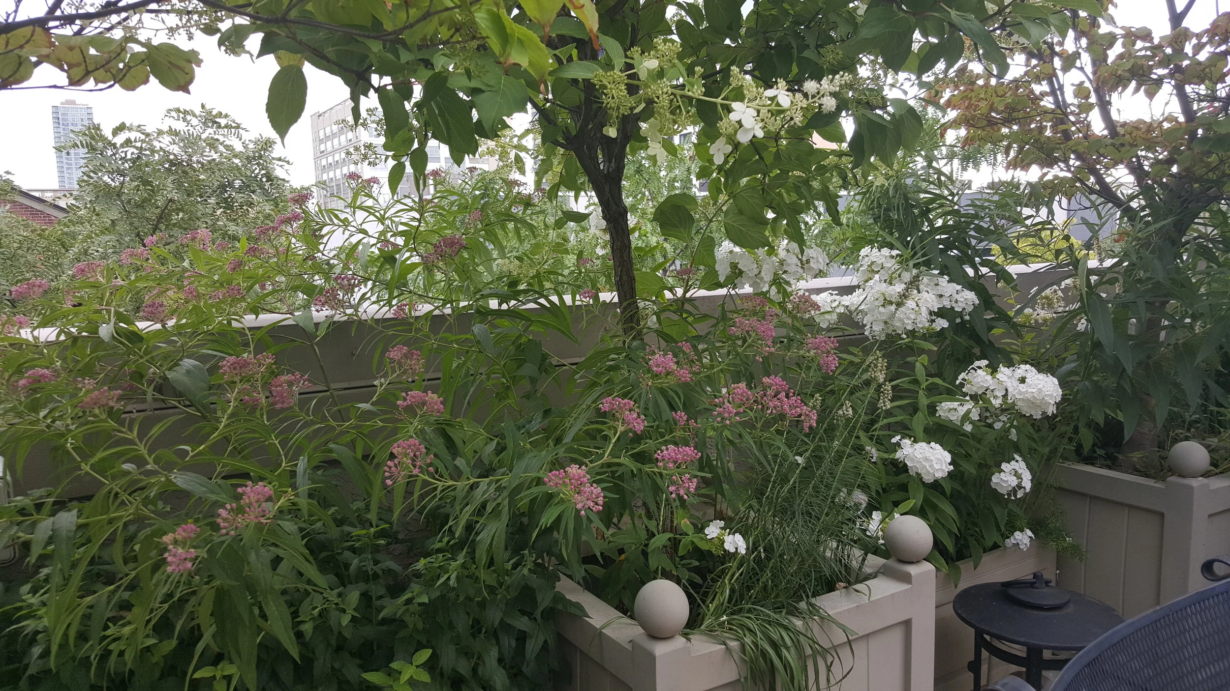 20160809_162655.jpg