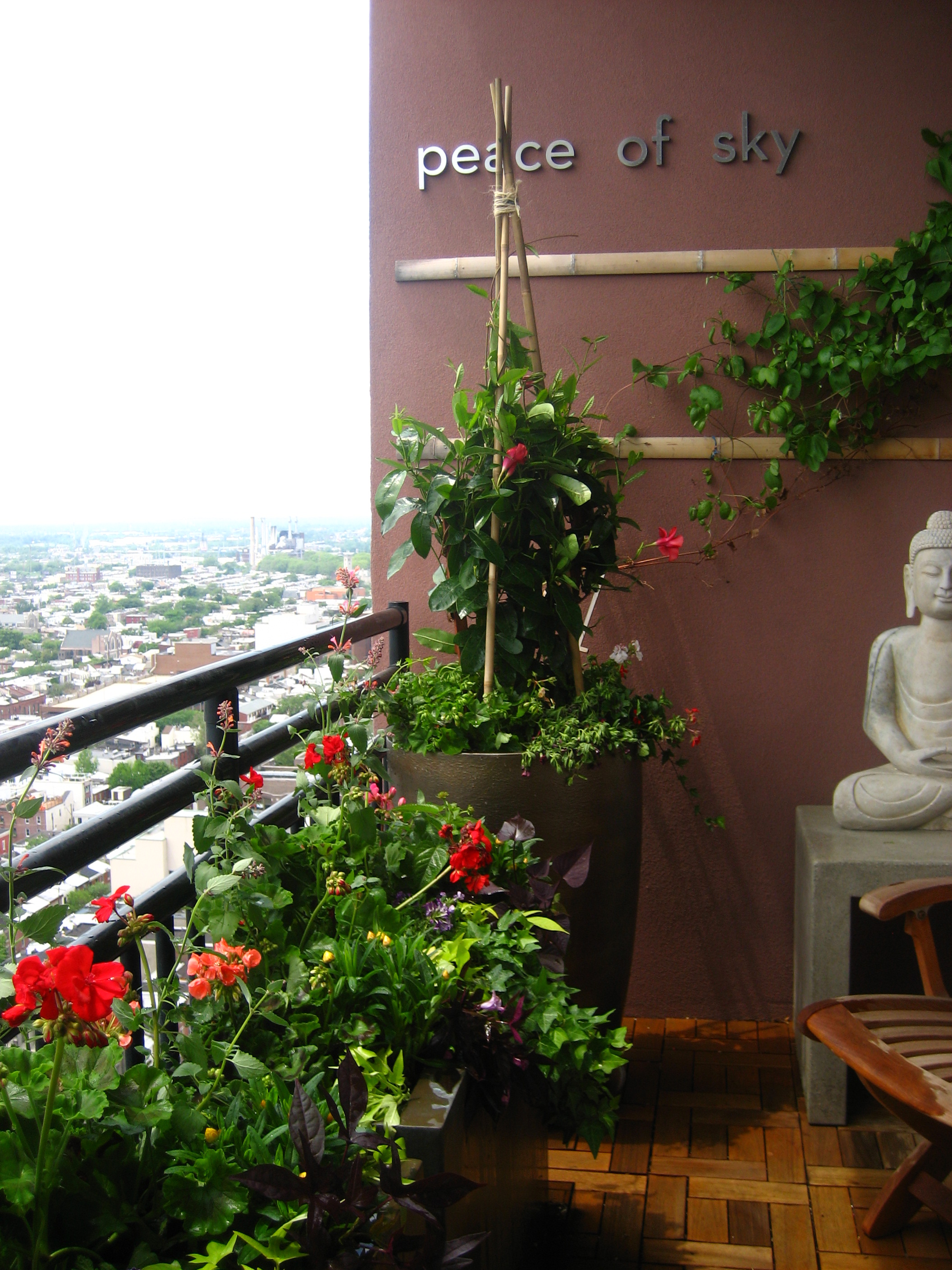 late spring 2011 024.JPG