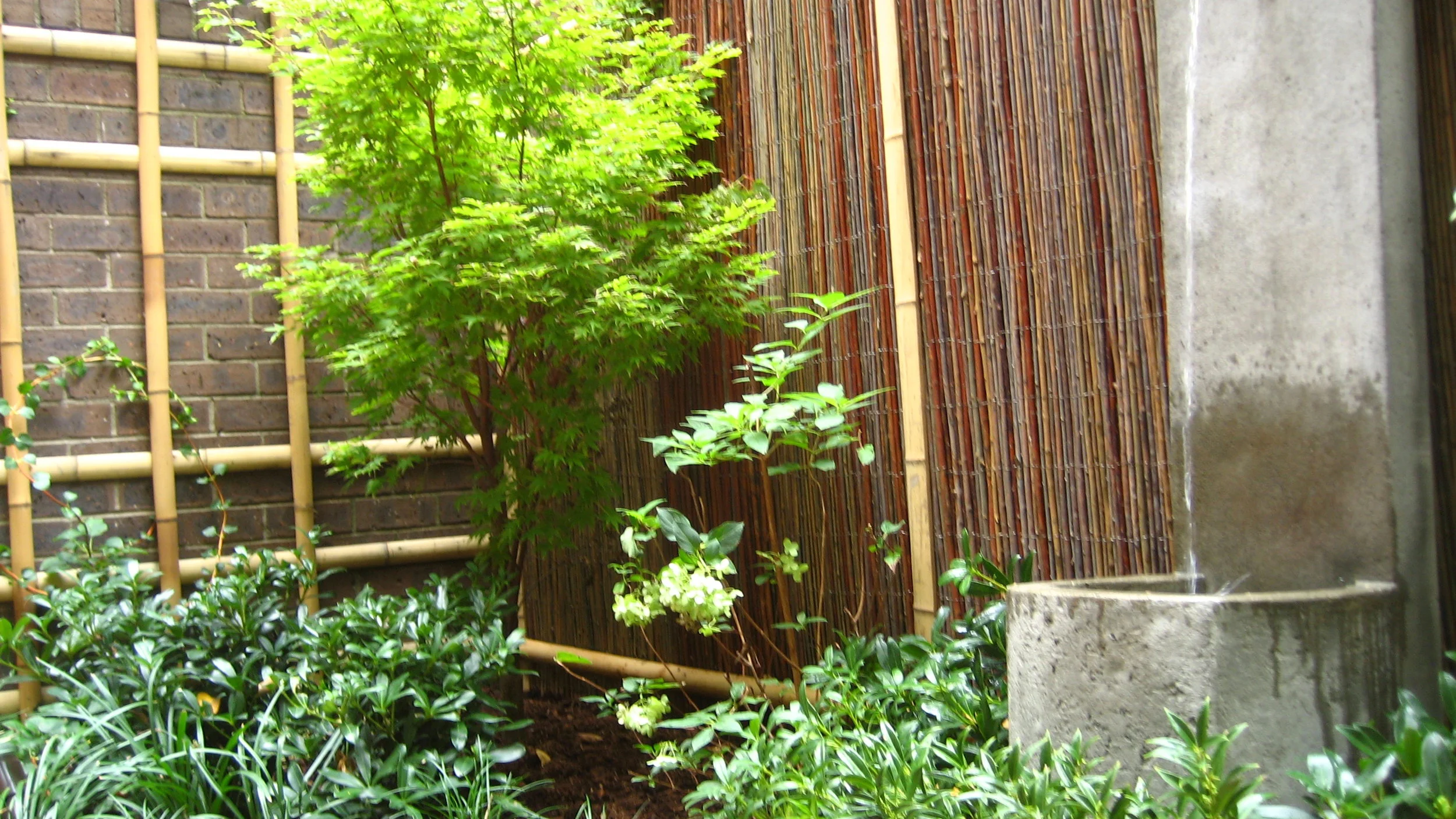 original1.october 24 2008 065.jpg