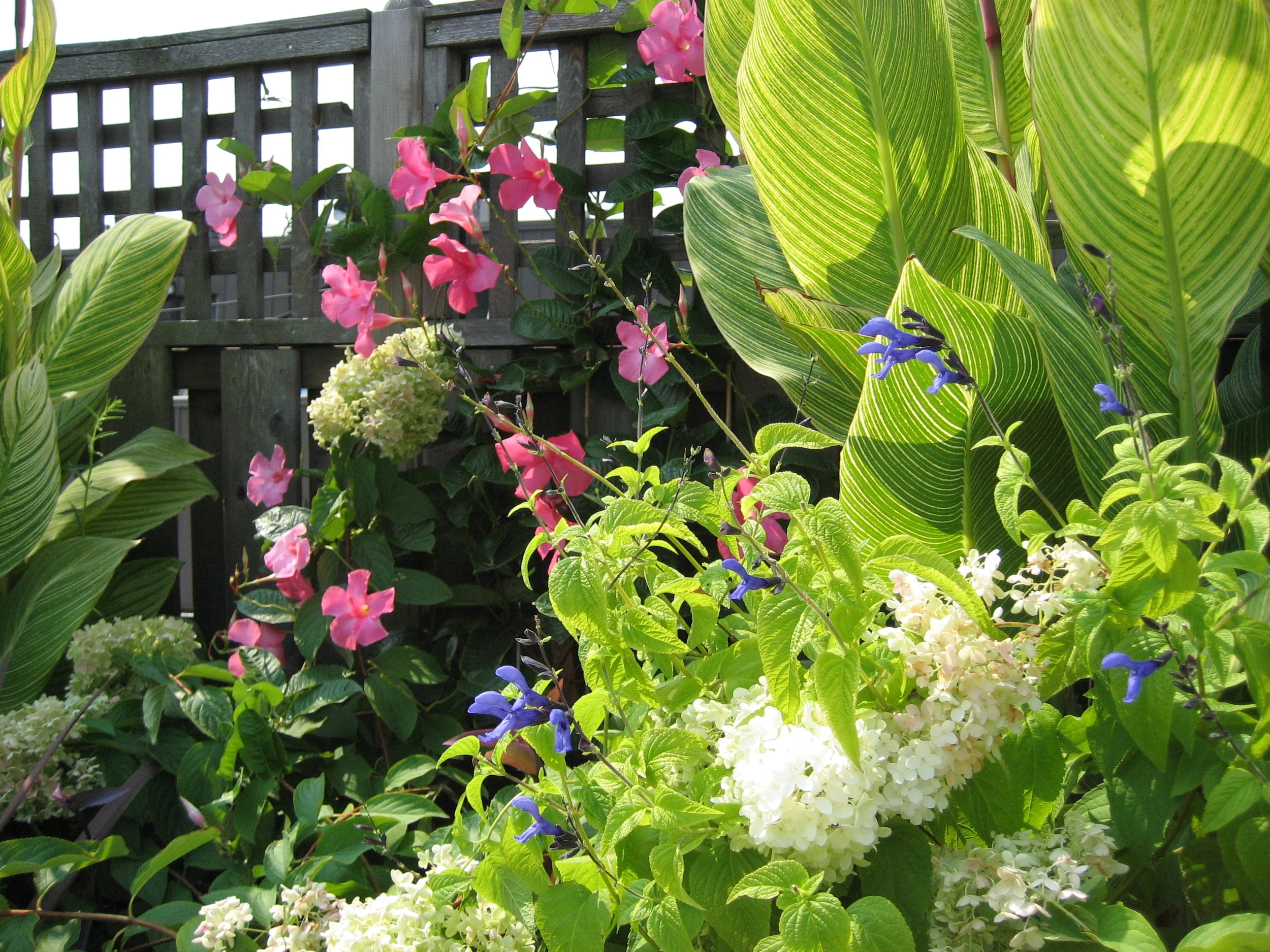 original1.IMG_1654.jpg