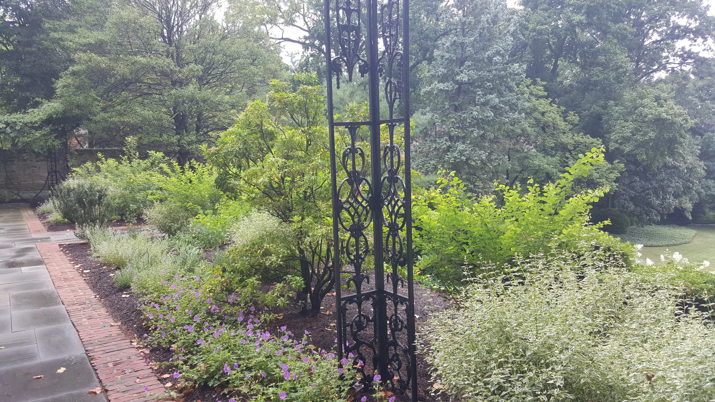 20150811_103819_001 - Copy.jpg