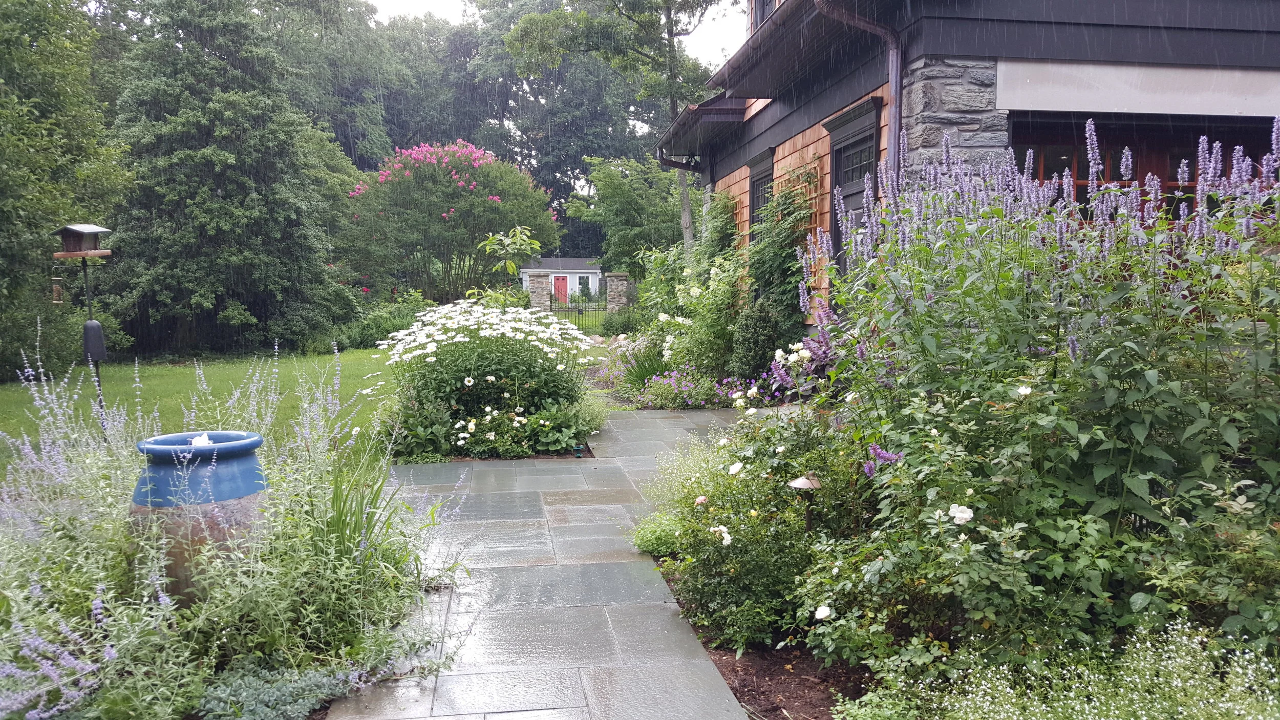 20160713_104521 - Copy.jpg