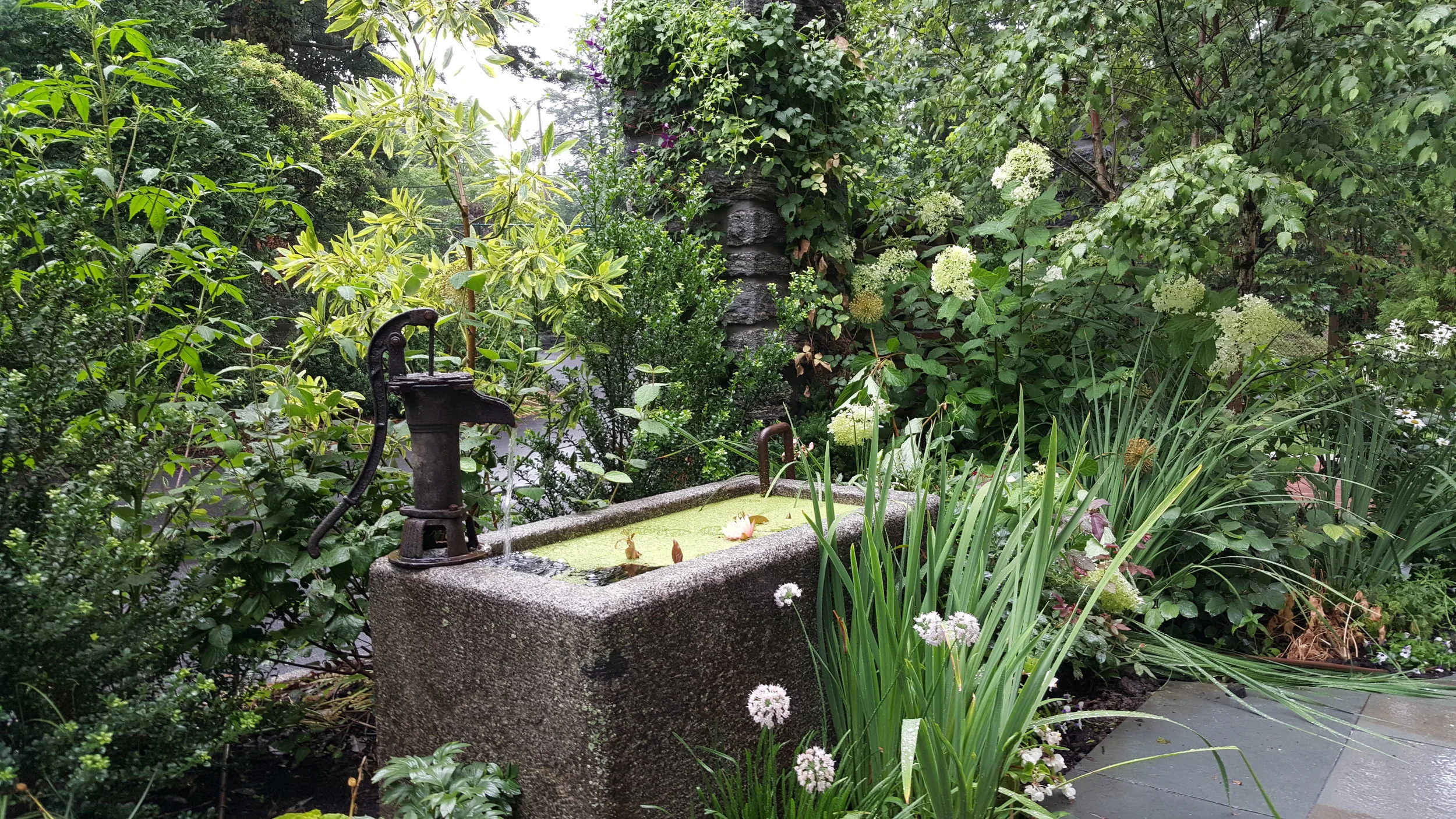 20160713_153141 - Copy.jpg