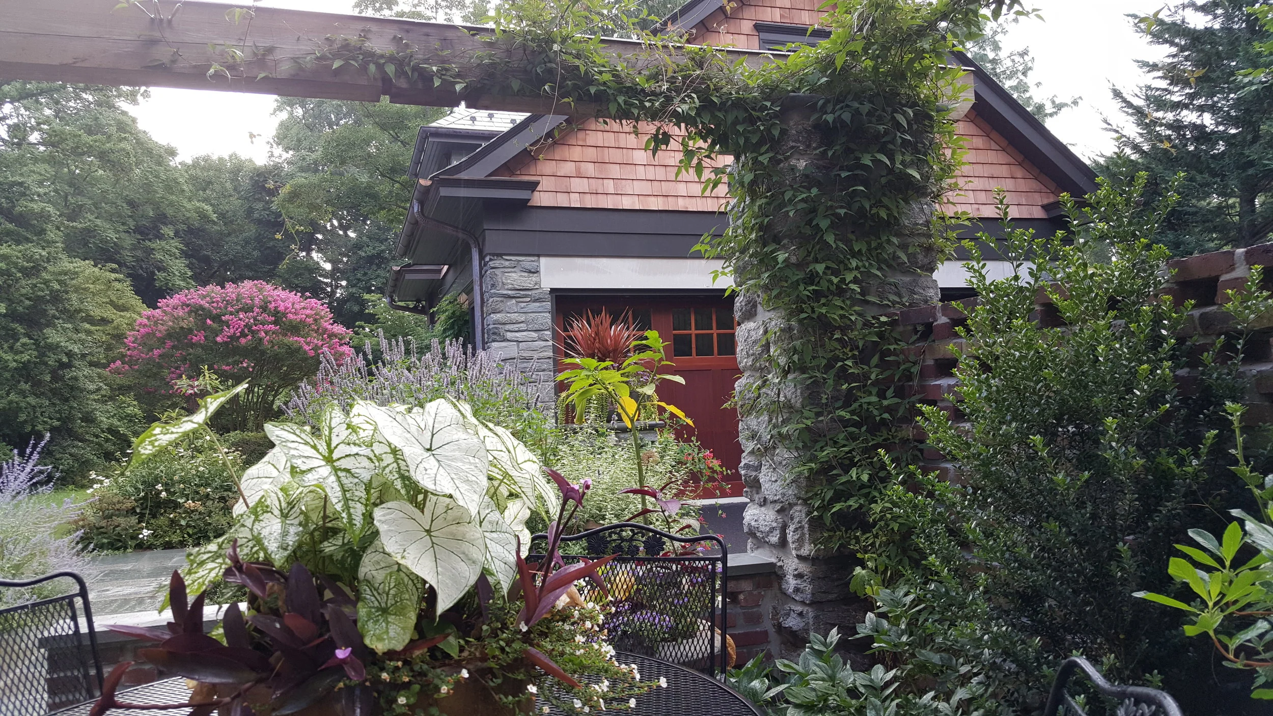 20160811_090435 - Copy.jpg