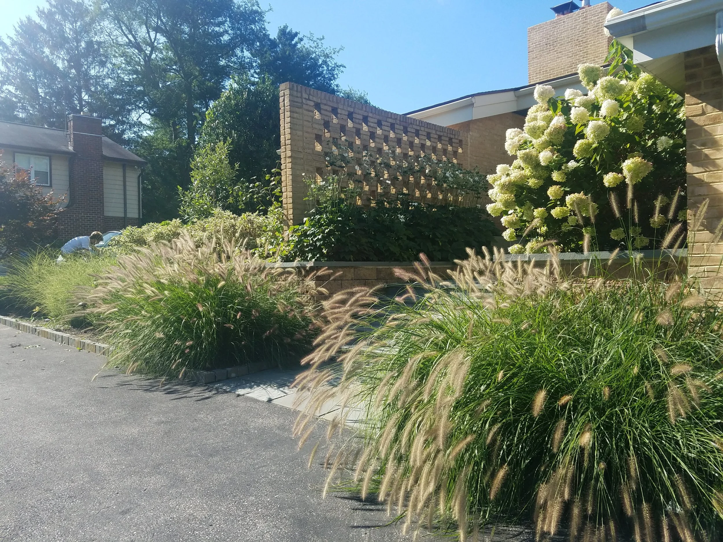 20170908_100212.jpg