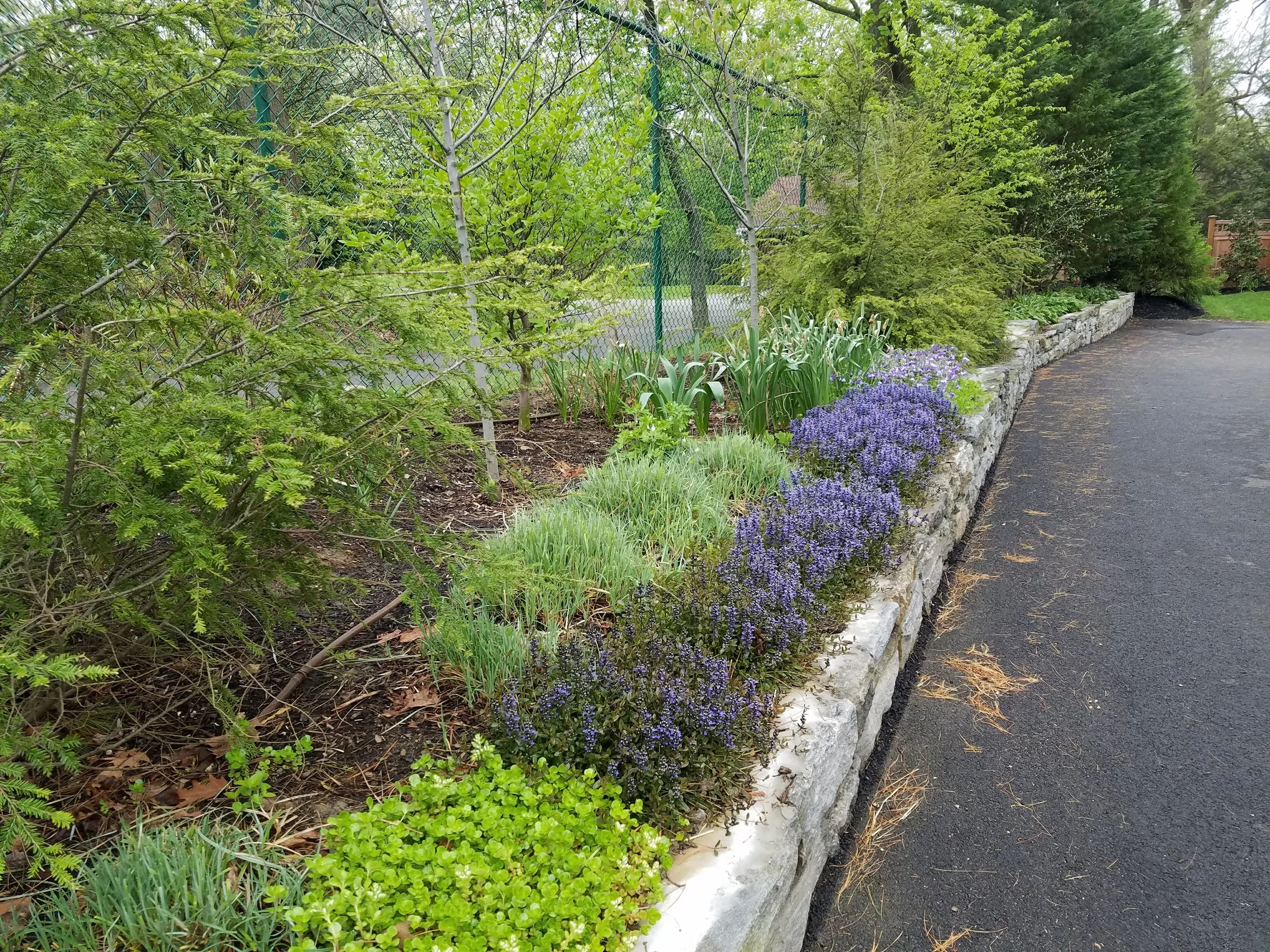 20170422_075709.jpg