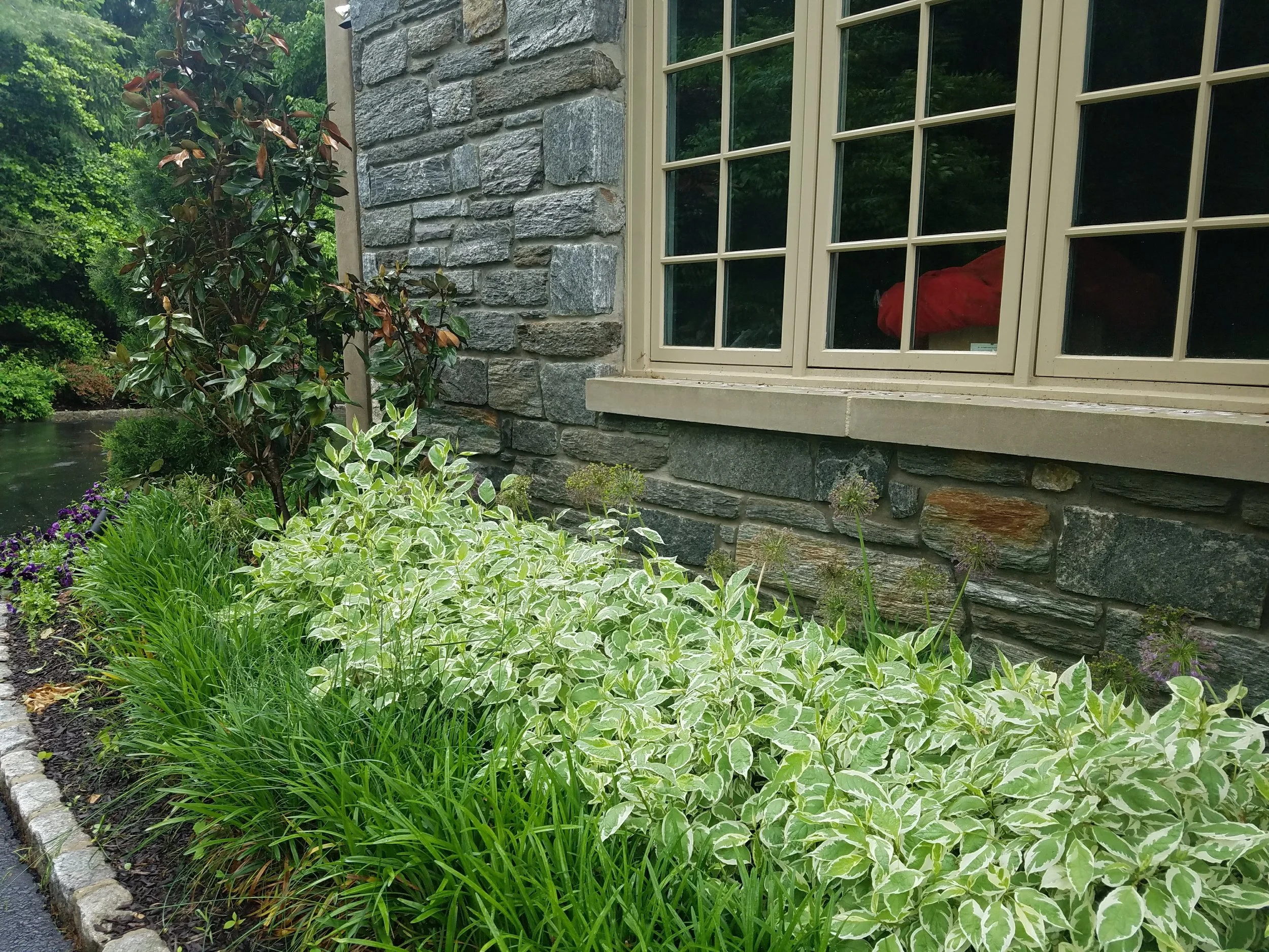 20170525_135415.jpg