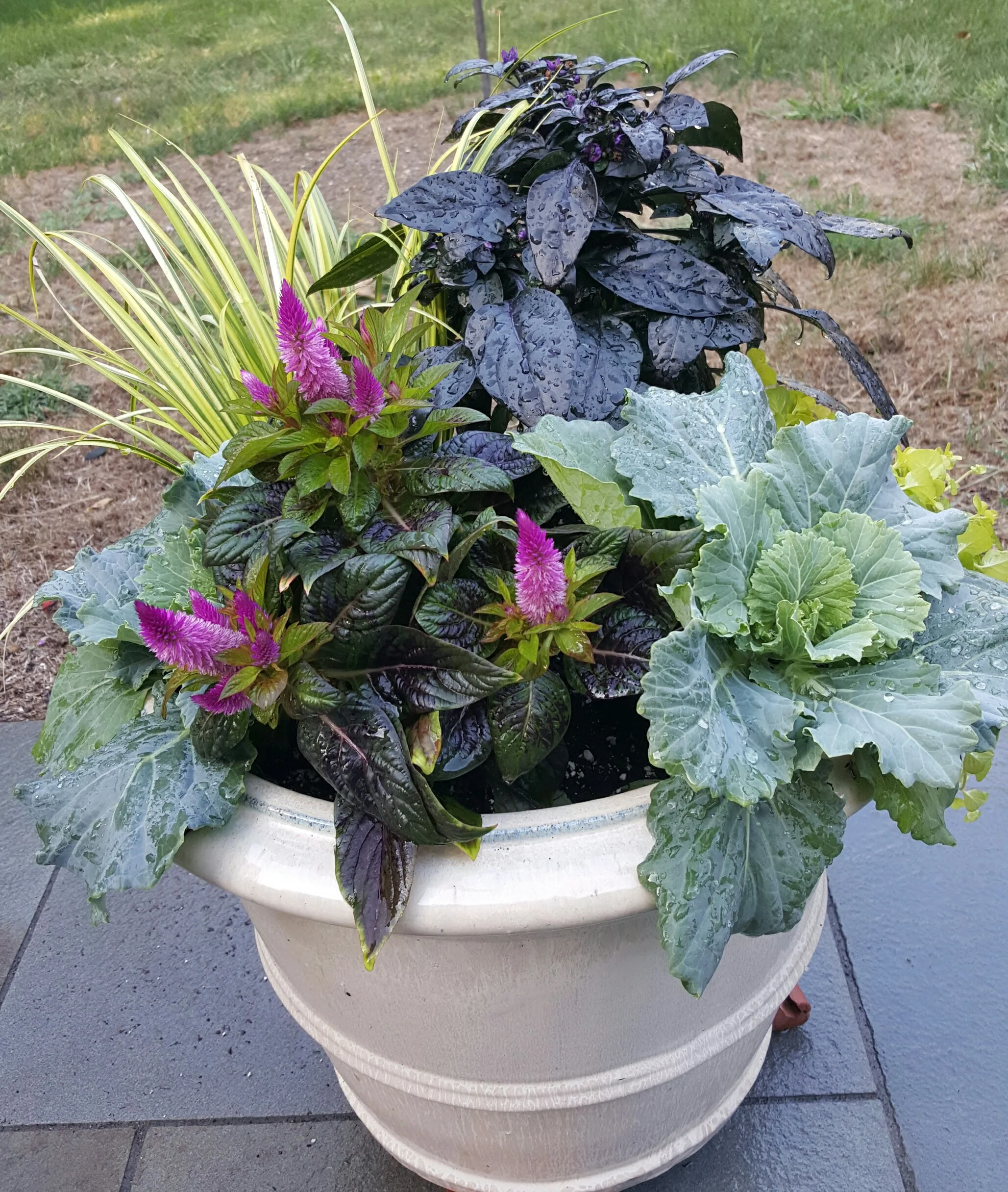 20160916_172022-1.jpg