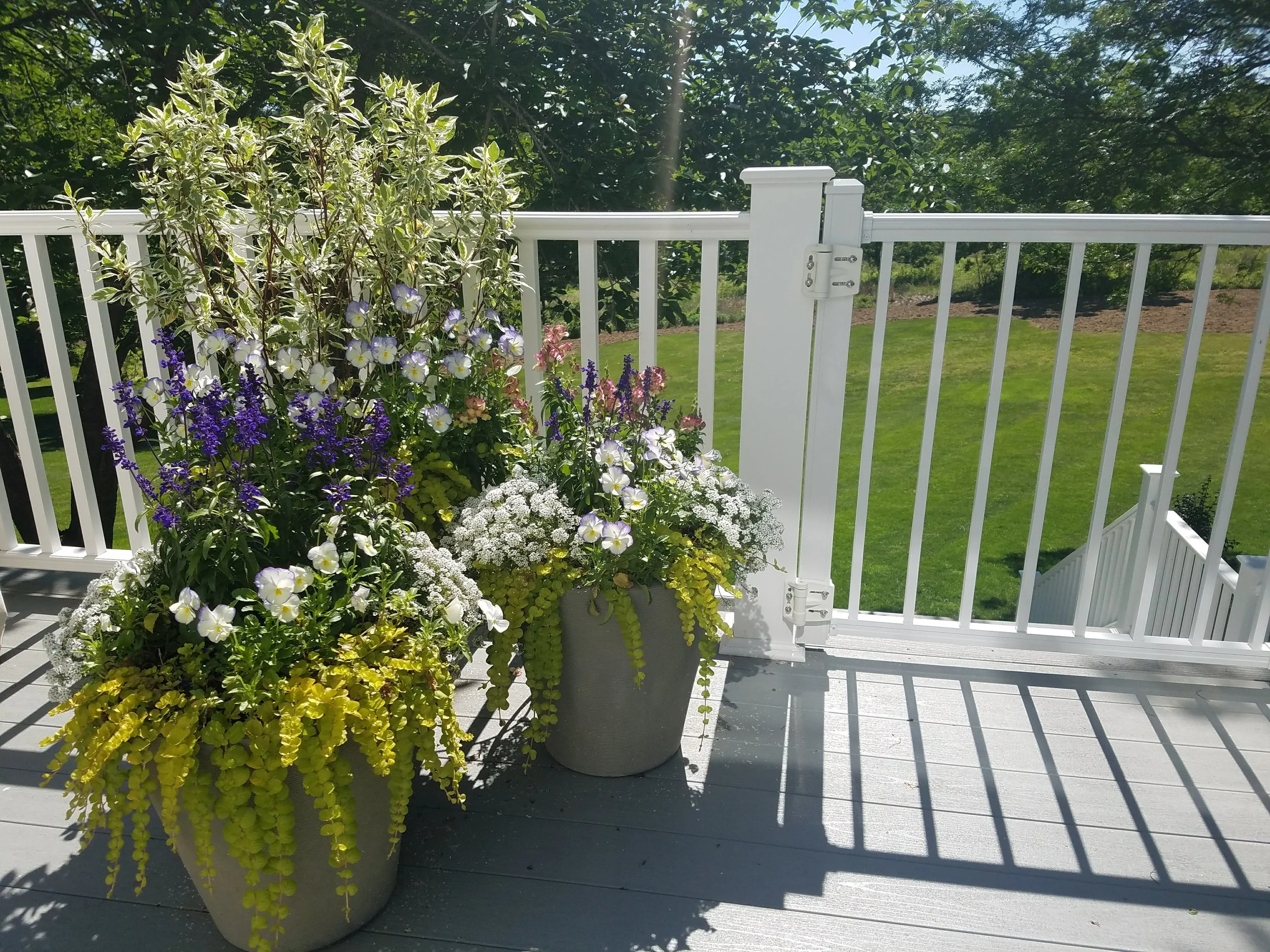 20170609_101836.jpg