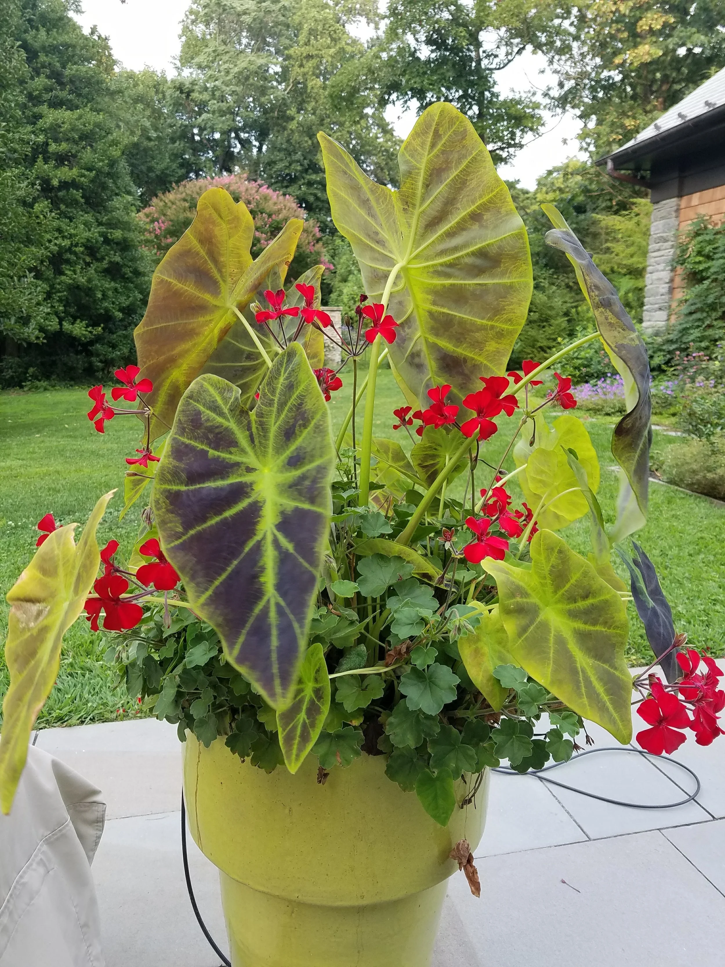 20170828_180738.jpg