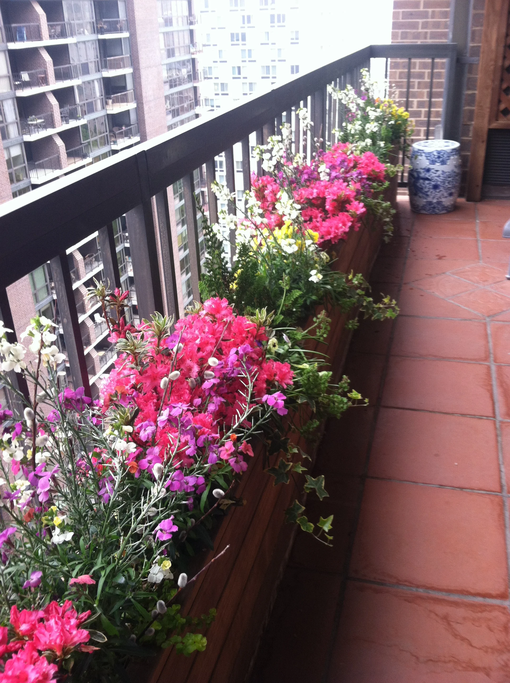 original1.May 9 2014 sharleen 004.JPG