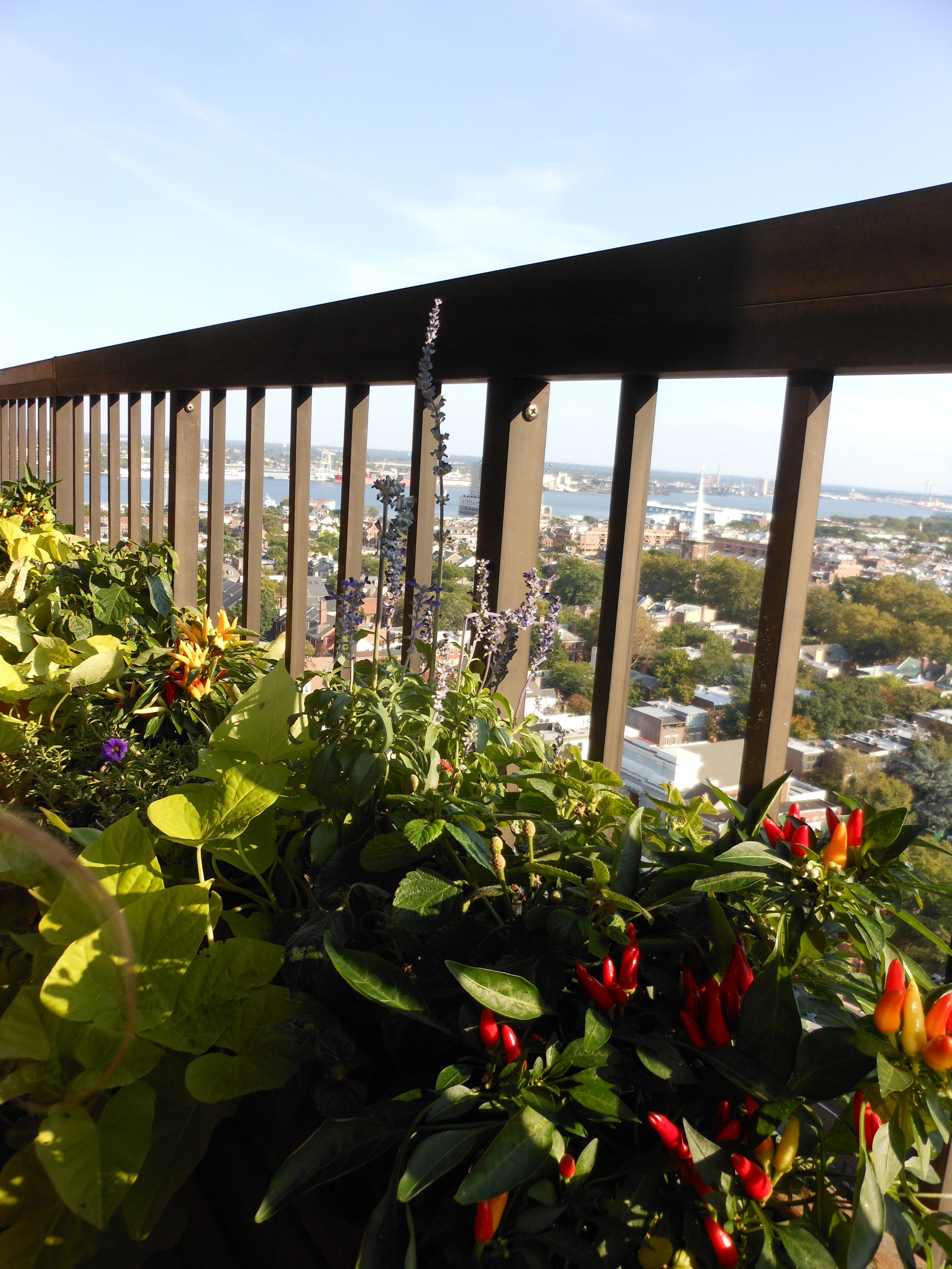 September 18 2012 024.JPG