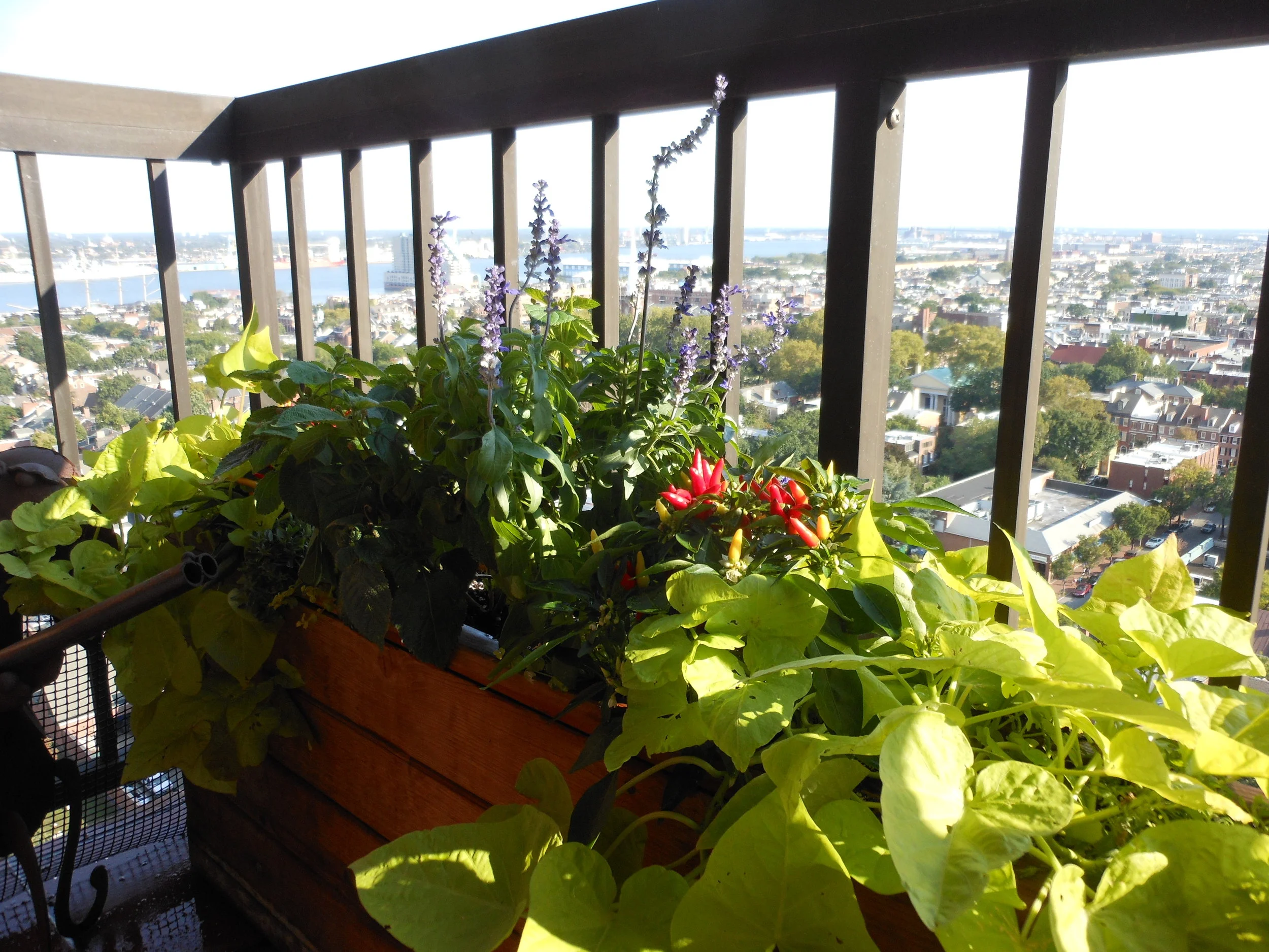 September 18 2012 039.JPG