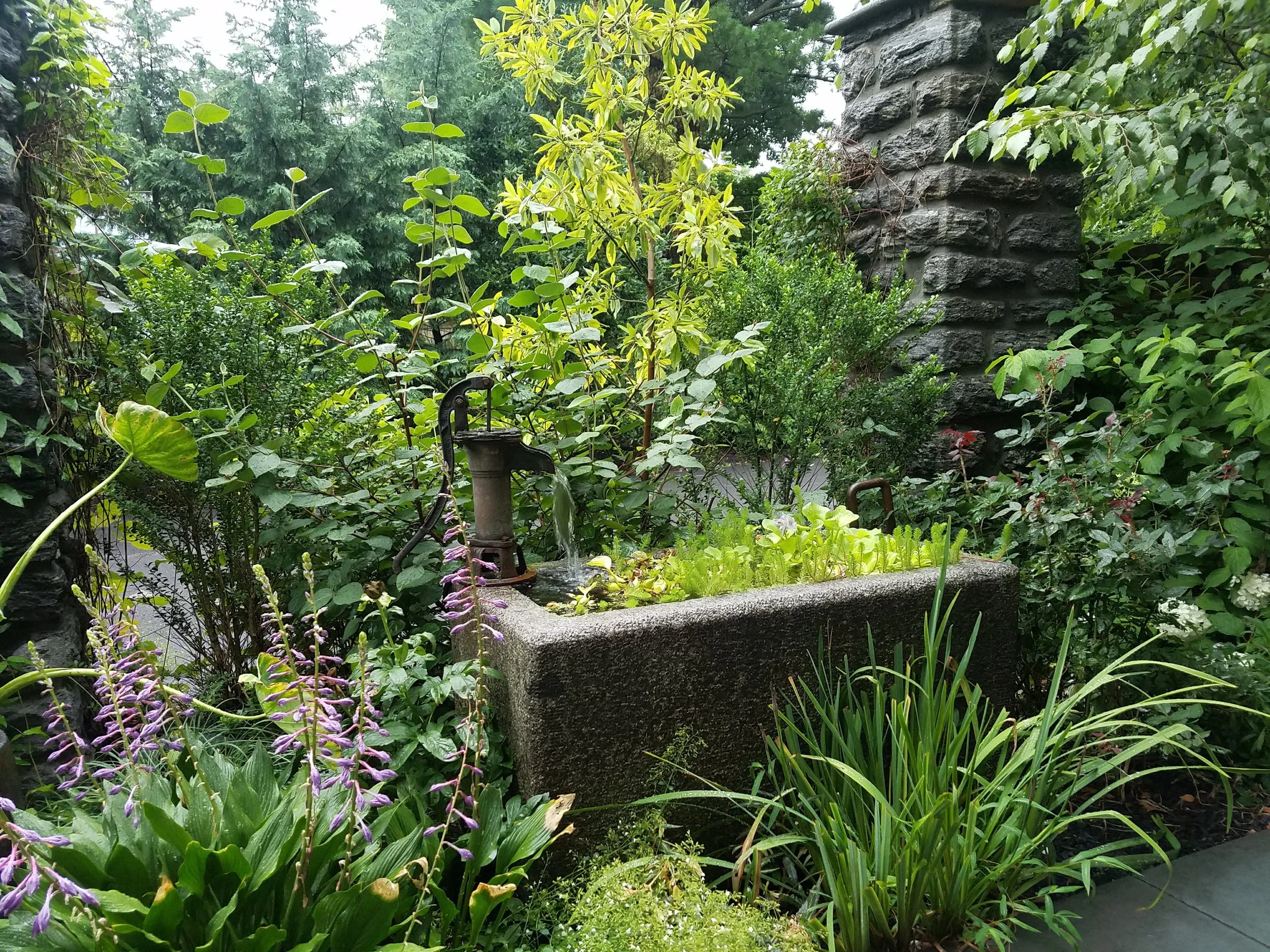 20170807_185622.jpg