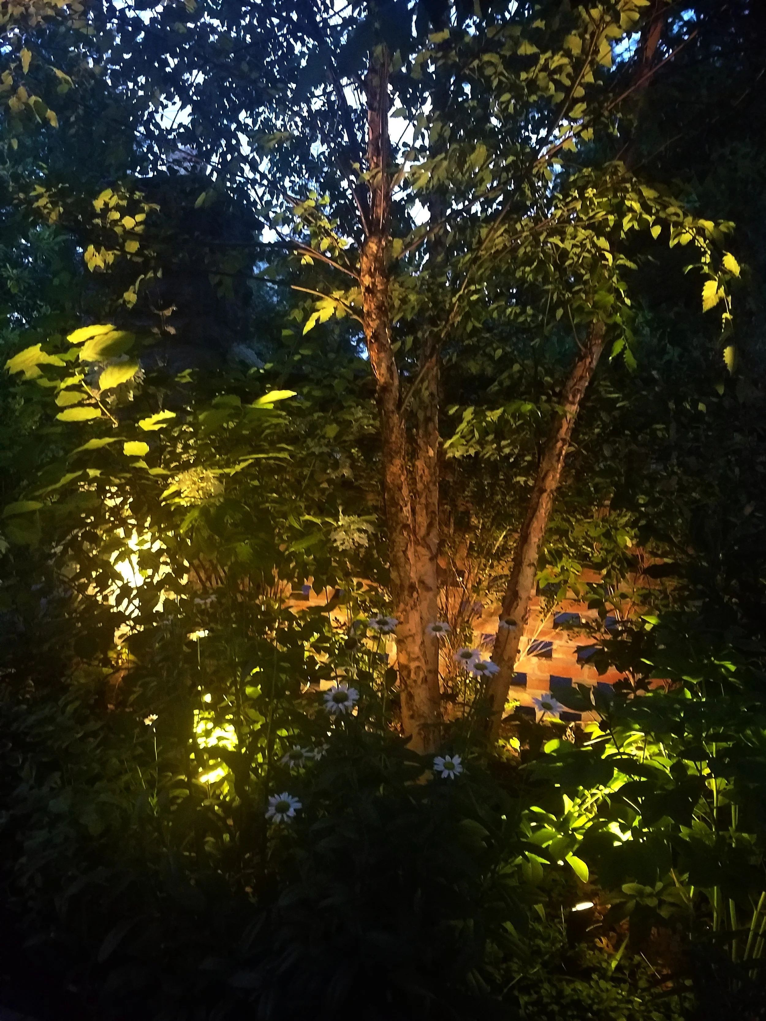 20170801_203110.jpg