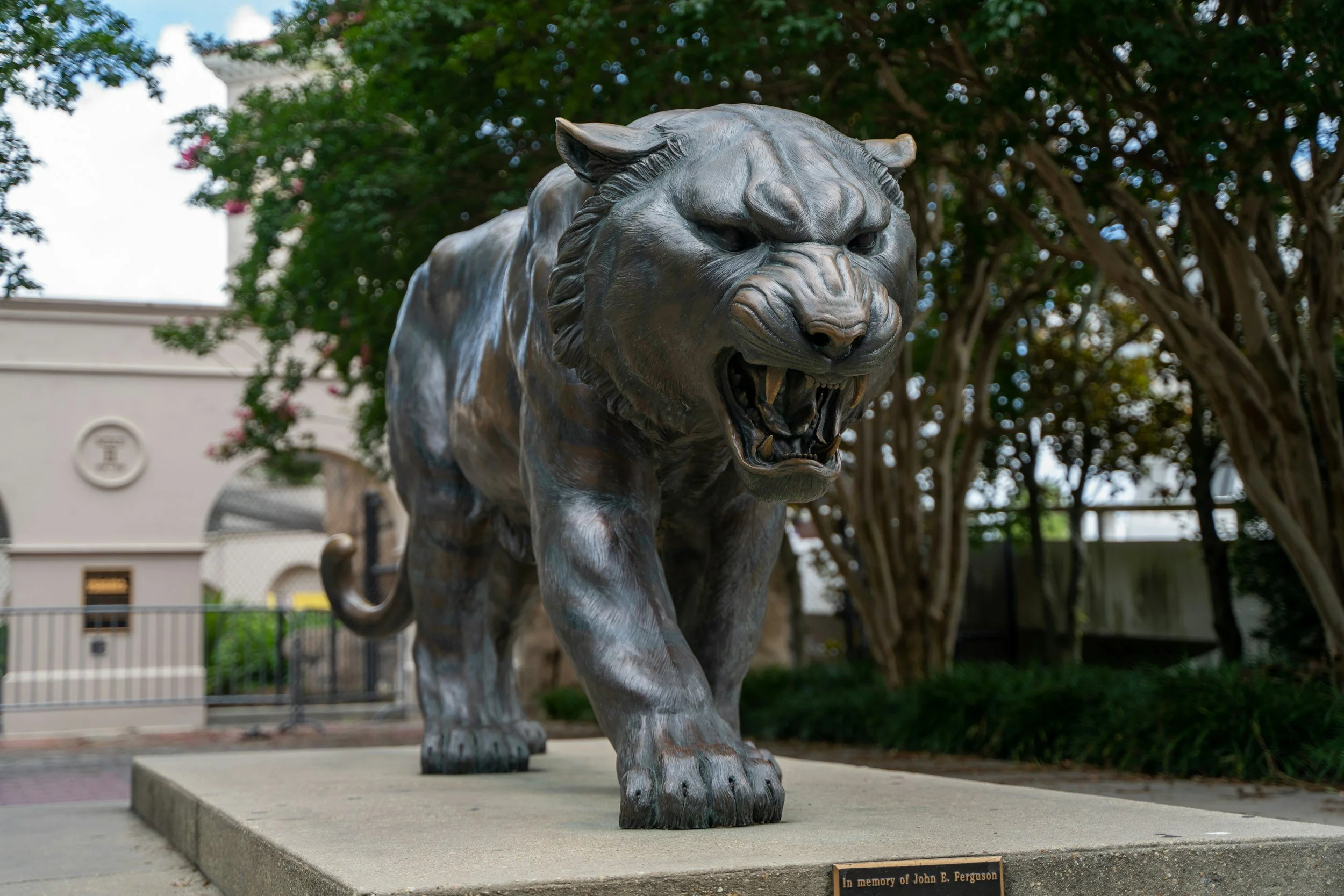 LSU Football Weekend - NOLA
