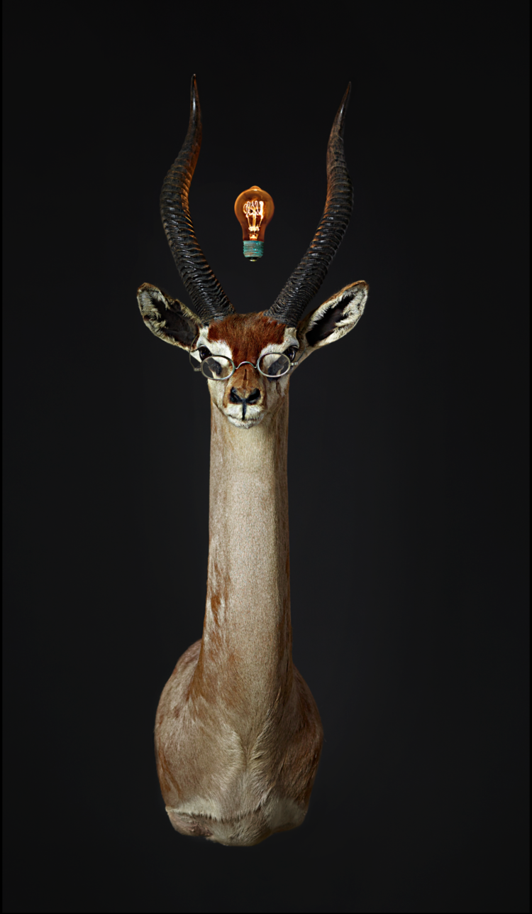 Professor+Gerenuk.png