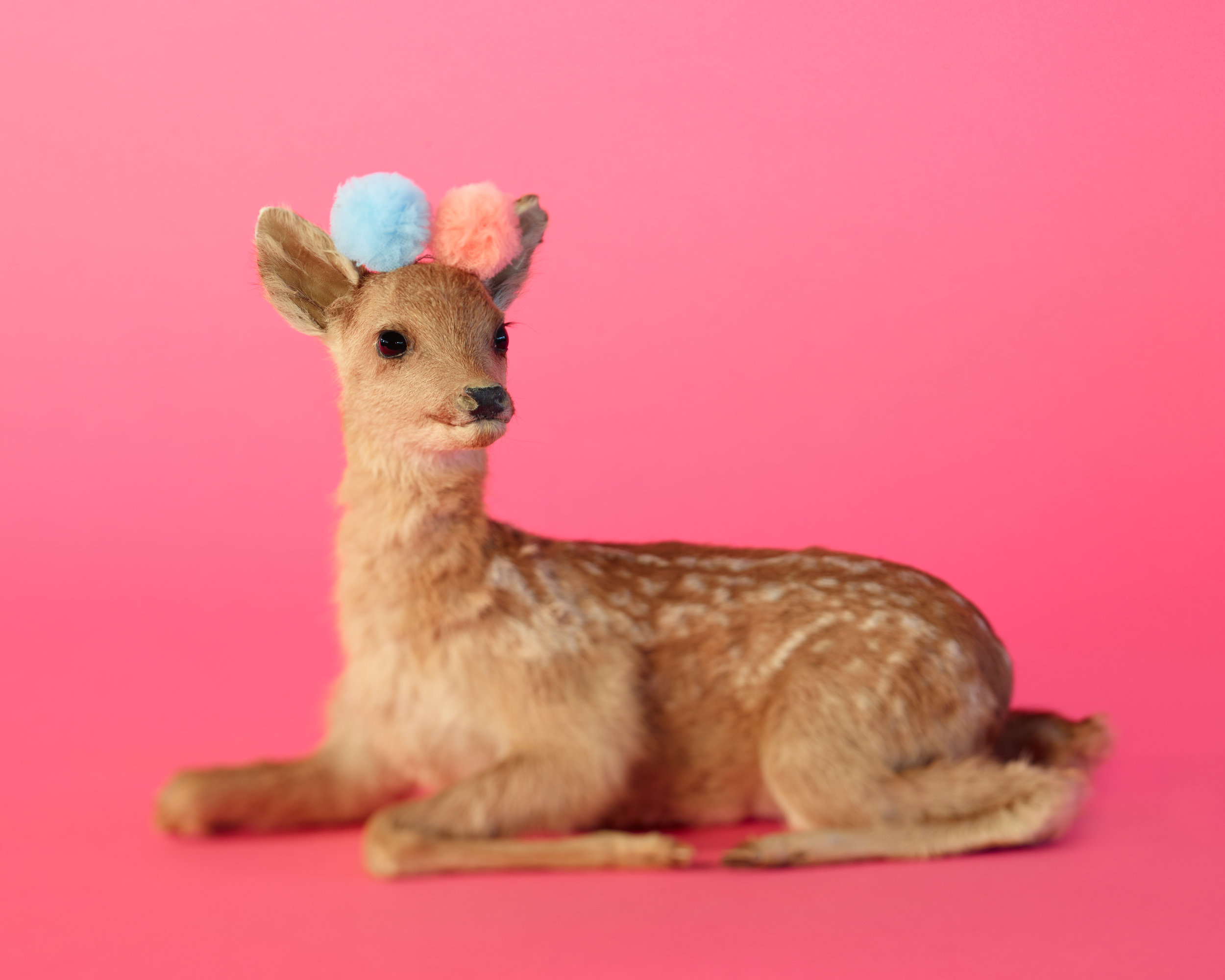 Emma_Pink Fawn w Pom Poms.jpg